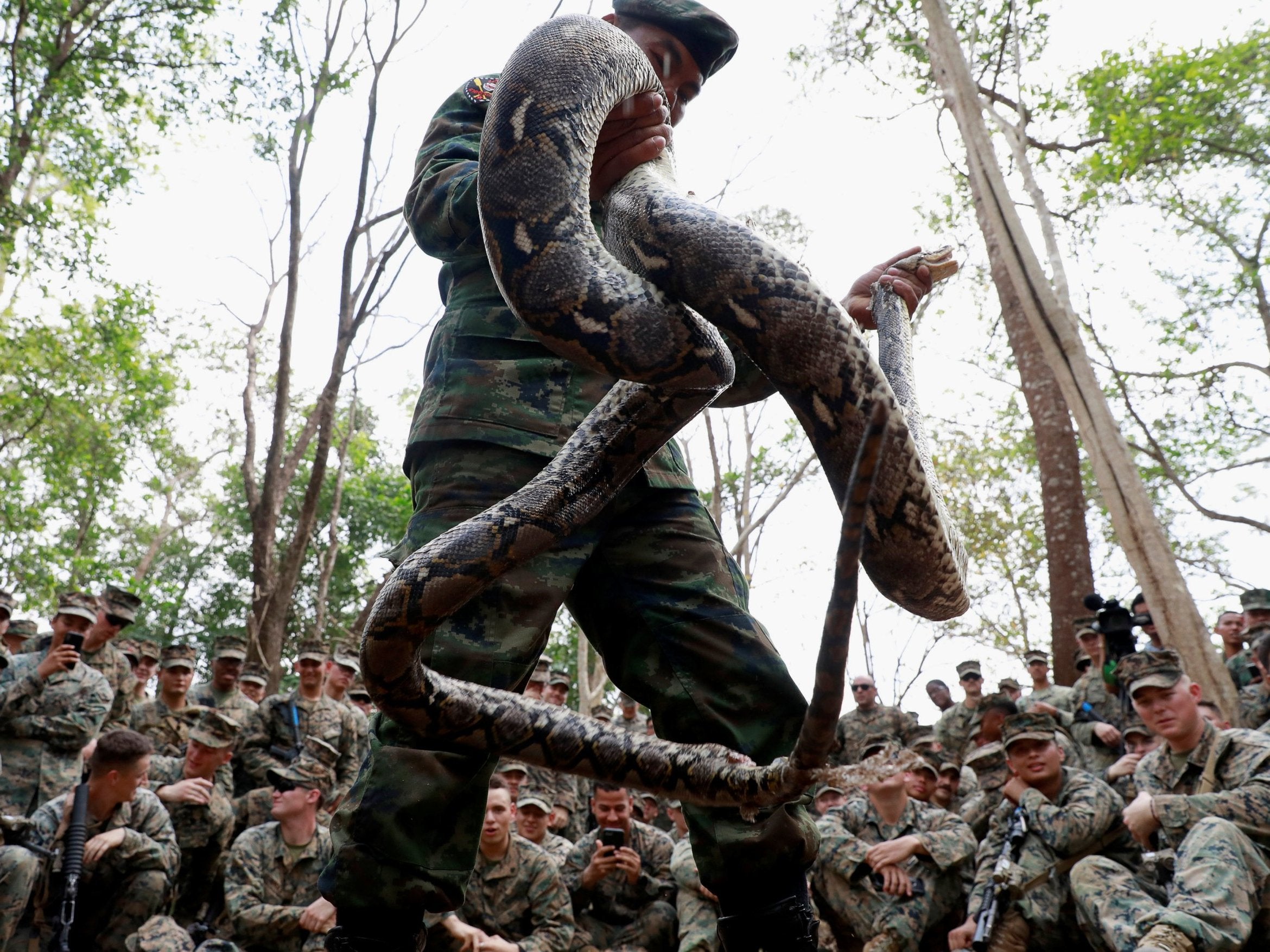 A Thai soldier presents a python during the Cobra Gold multilateral military exercise in Chanthaburi, Thailand