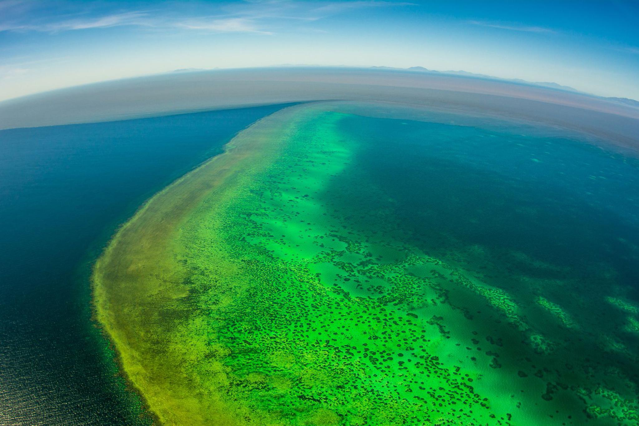 The floodwater is thick with sediment from the shore and scientists fear that this may block out the sun, preventing photosynthesis for the algae that the coral relies on to survive.