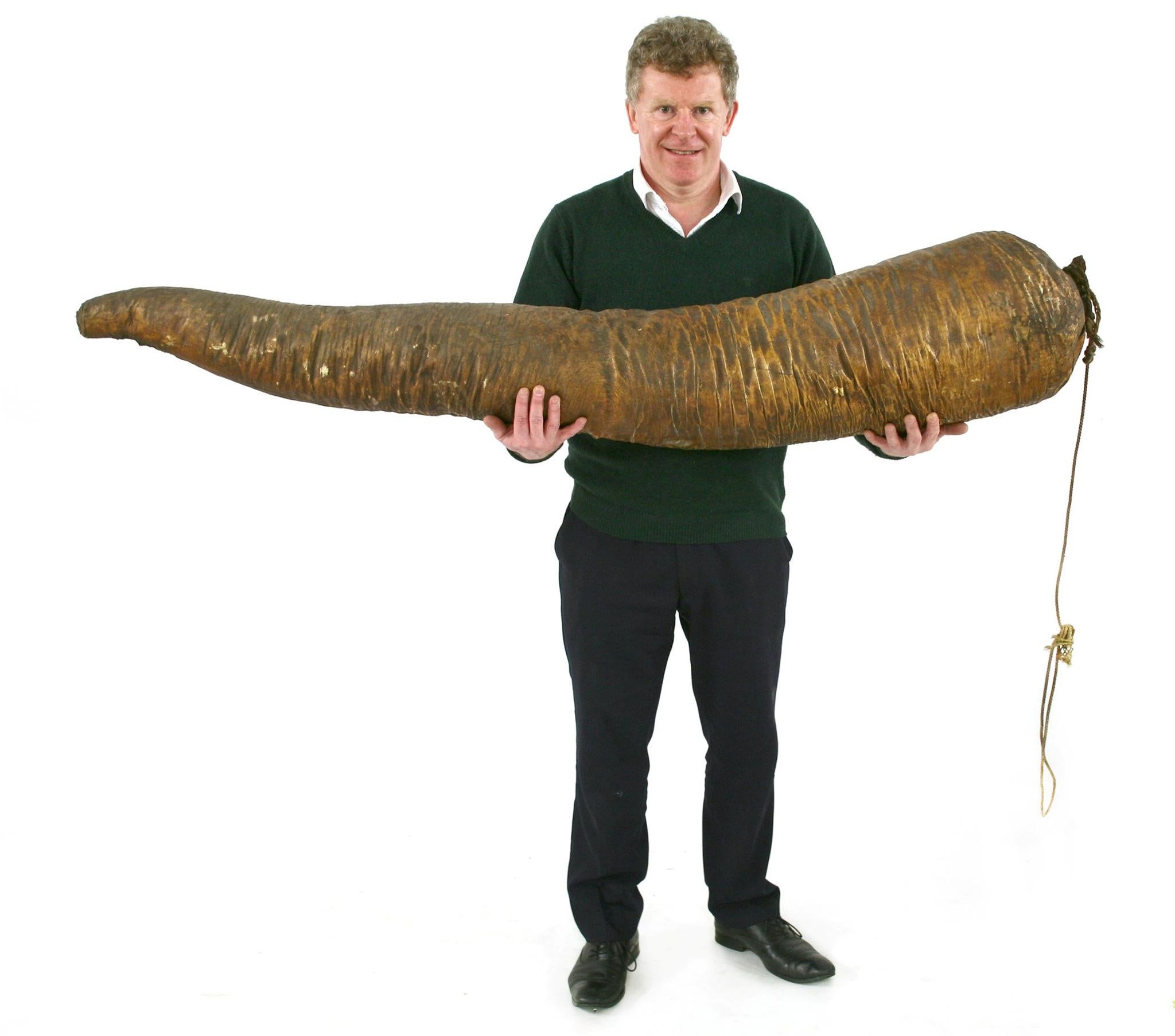 The 5 and a half foot long whale penis went for £4,600 at auction