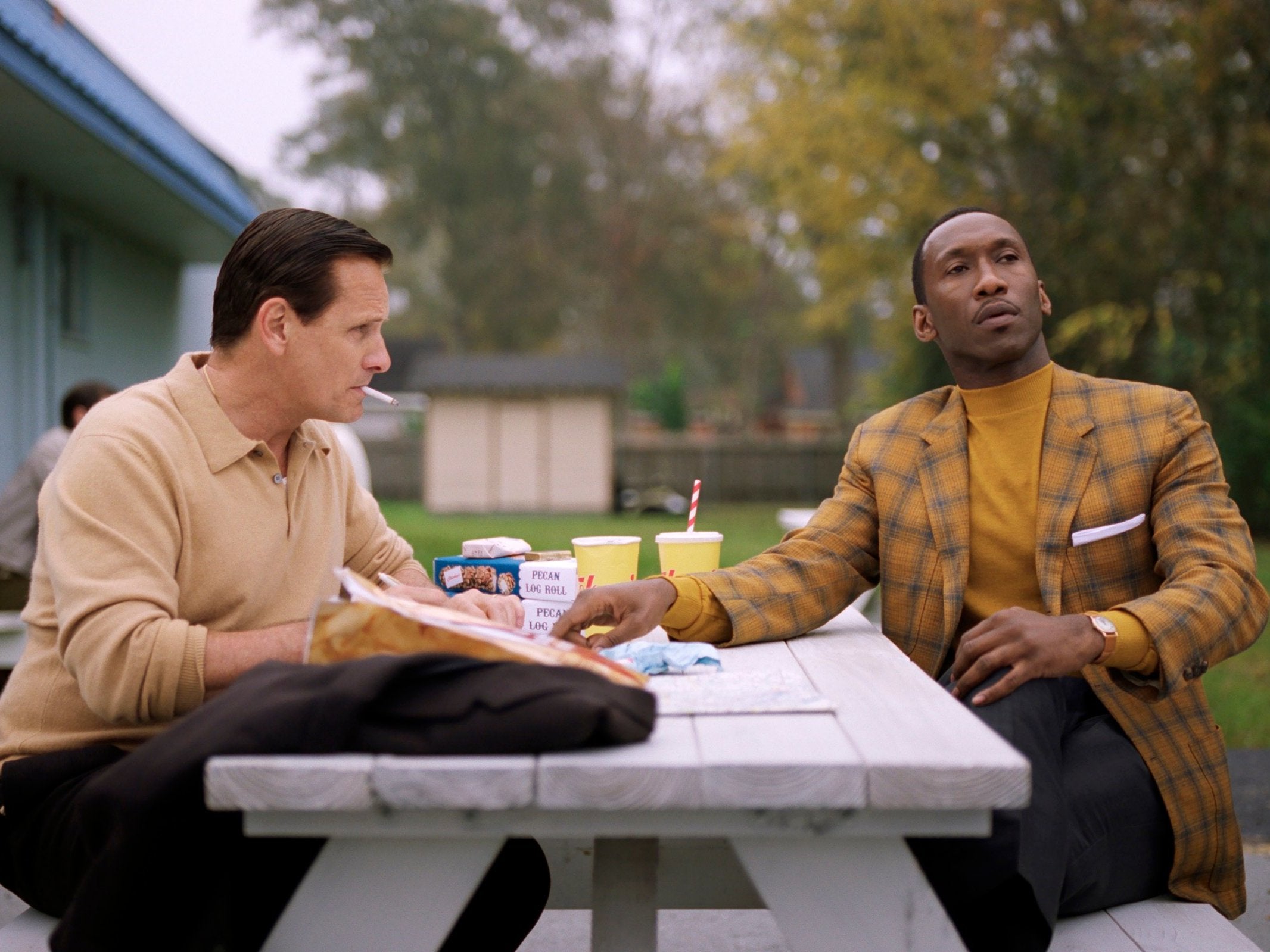 The Oscar-winning ‘Green Book’ was criticised for its use of the ‘white saviour’ trope