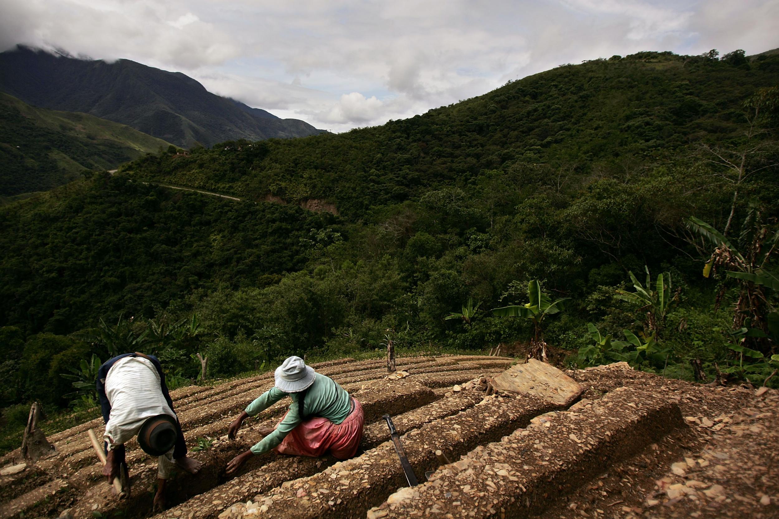 Small farms are increasingly using innovative ways to reduce greenhouse gases