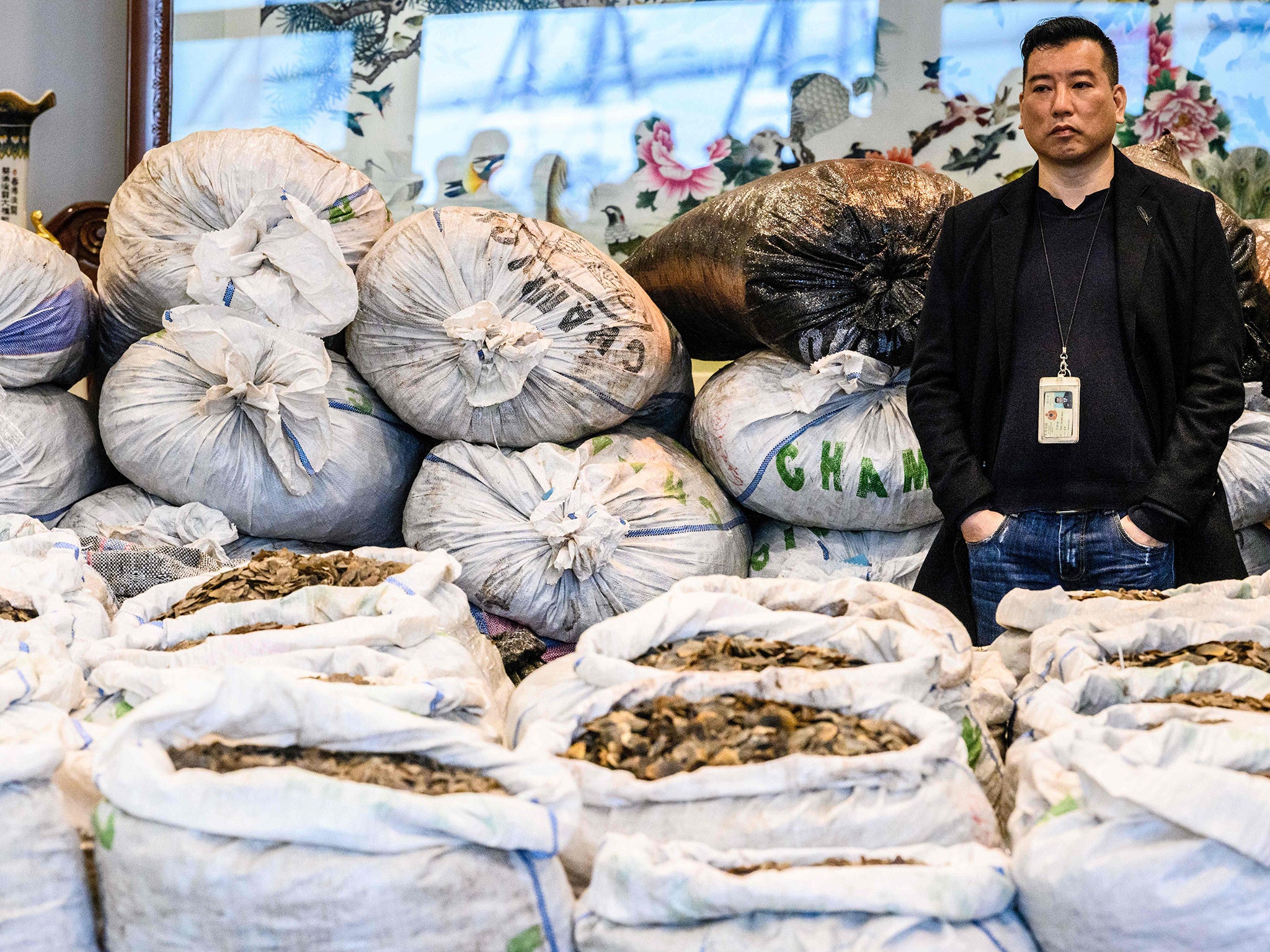 A Chinese customs officer stands in front of sacks of seized endangered pangolin scales during a press conference in Hong Kong on 1 February 2019