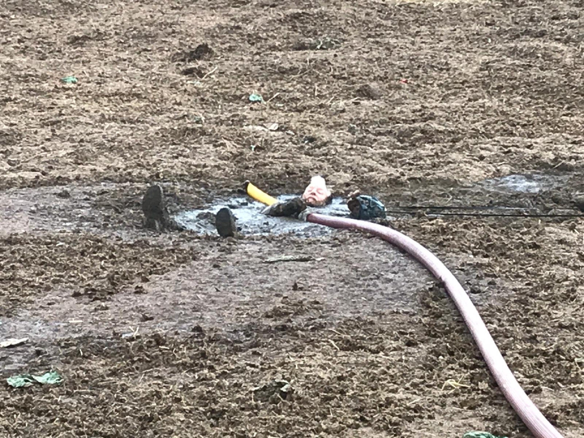 Brian Marshall found himself stuck in manure in Upper Caldecote, Bedfordshire