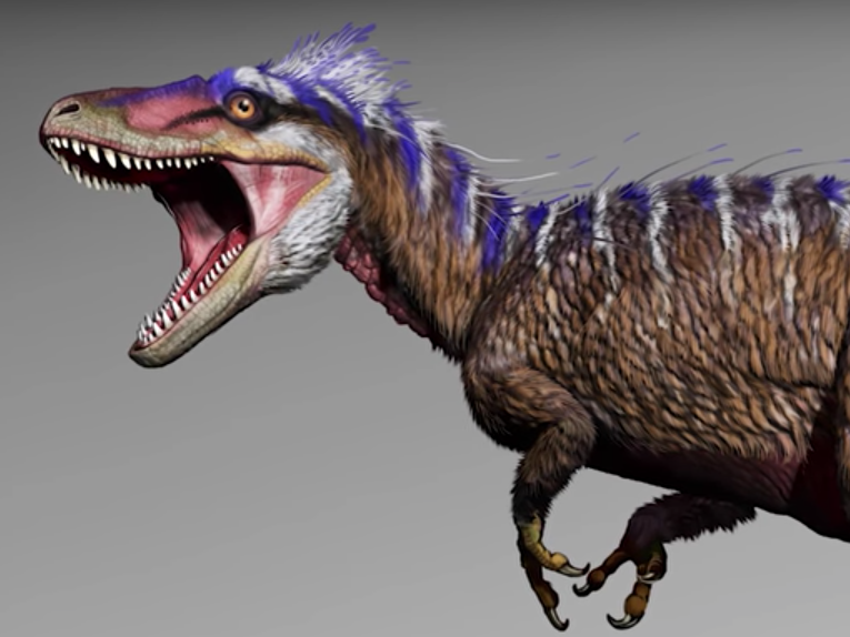 Moros intrepidus lived 96 million years ago and is an ancestor to the formidable Tyrannosaurus rex