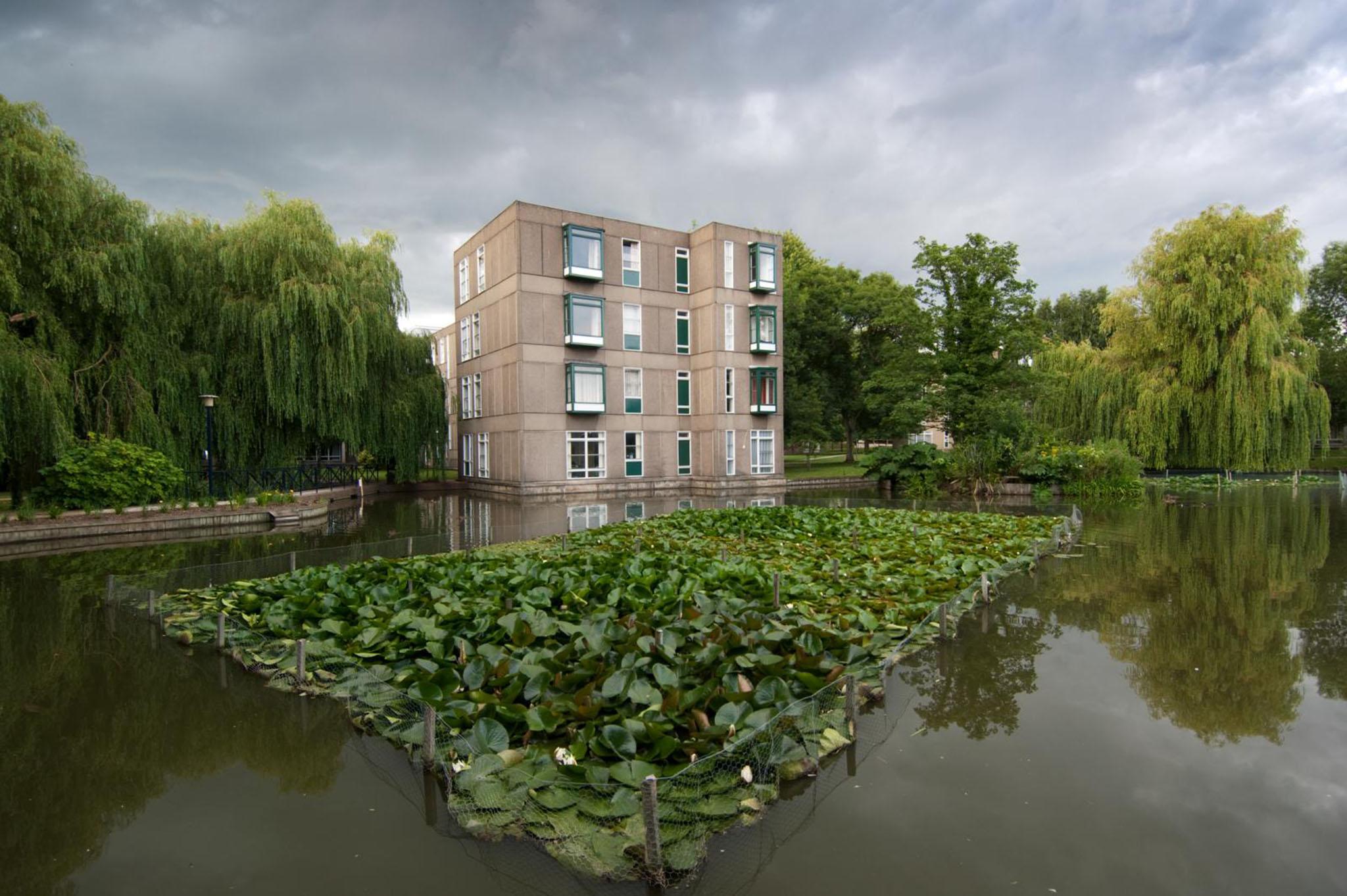 The University of York Campus West designed landscape was laid out from 1963-1980 It is a high-quality post-war university landscape that fulfils the architects’ masterplan vision of creating a town in miniature with a pedestrianised environment. One of the key features of the landscape is the lake, which has two small islands, a courtyard pool and a fountain which form a central focal point at the heart of the campus. Offering bursts of green against the surrounding concrete structures are the lake features, reed beds and lily pads, which were introduced to improve water purity. The landscape is relatively unaltered since it was laid out and the design successfully integrates the new landscape with the historic Heslington Hall gardens. It was designed by distinguished mid-20th century architects Andrew Derbyshire and Maurice Lee of RMJM with Frank Clark, the co-founders of the Garden History Society (now The Garden Trust).
Listed Grade II