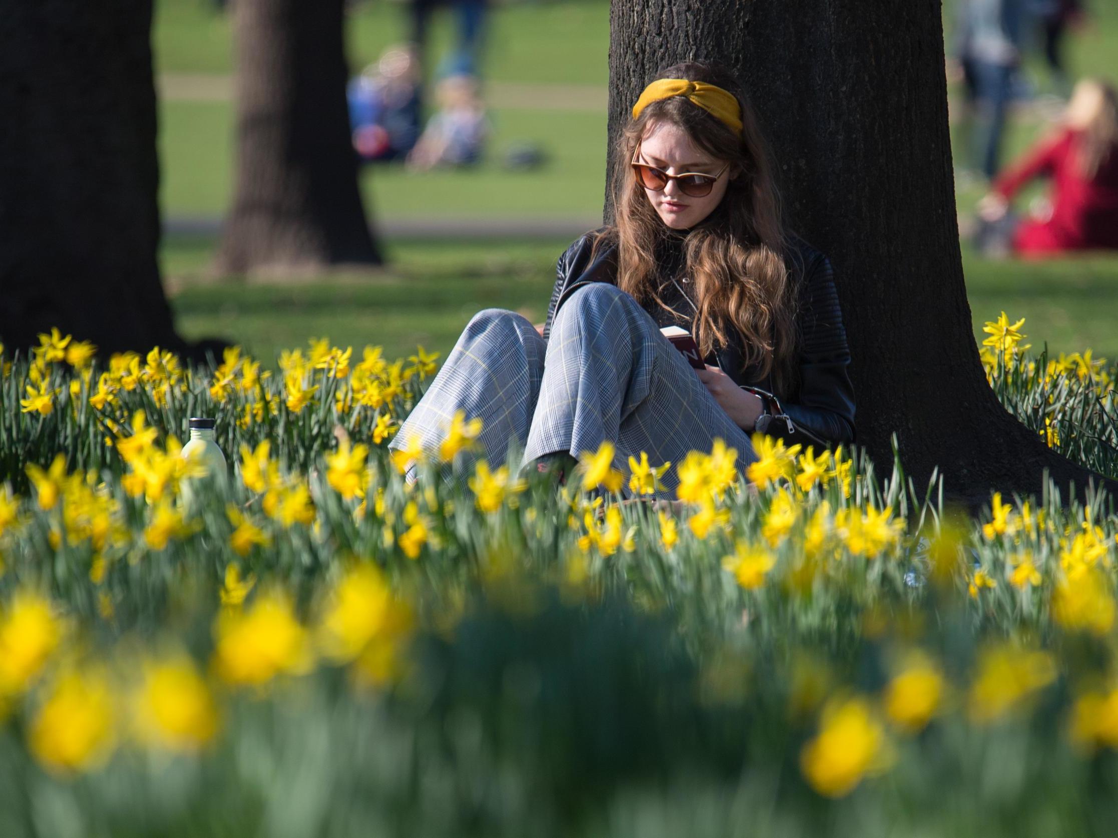 A woman reads outside as the warm weather continues (PA)