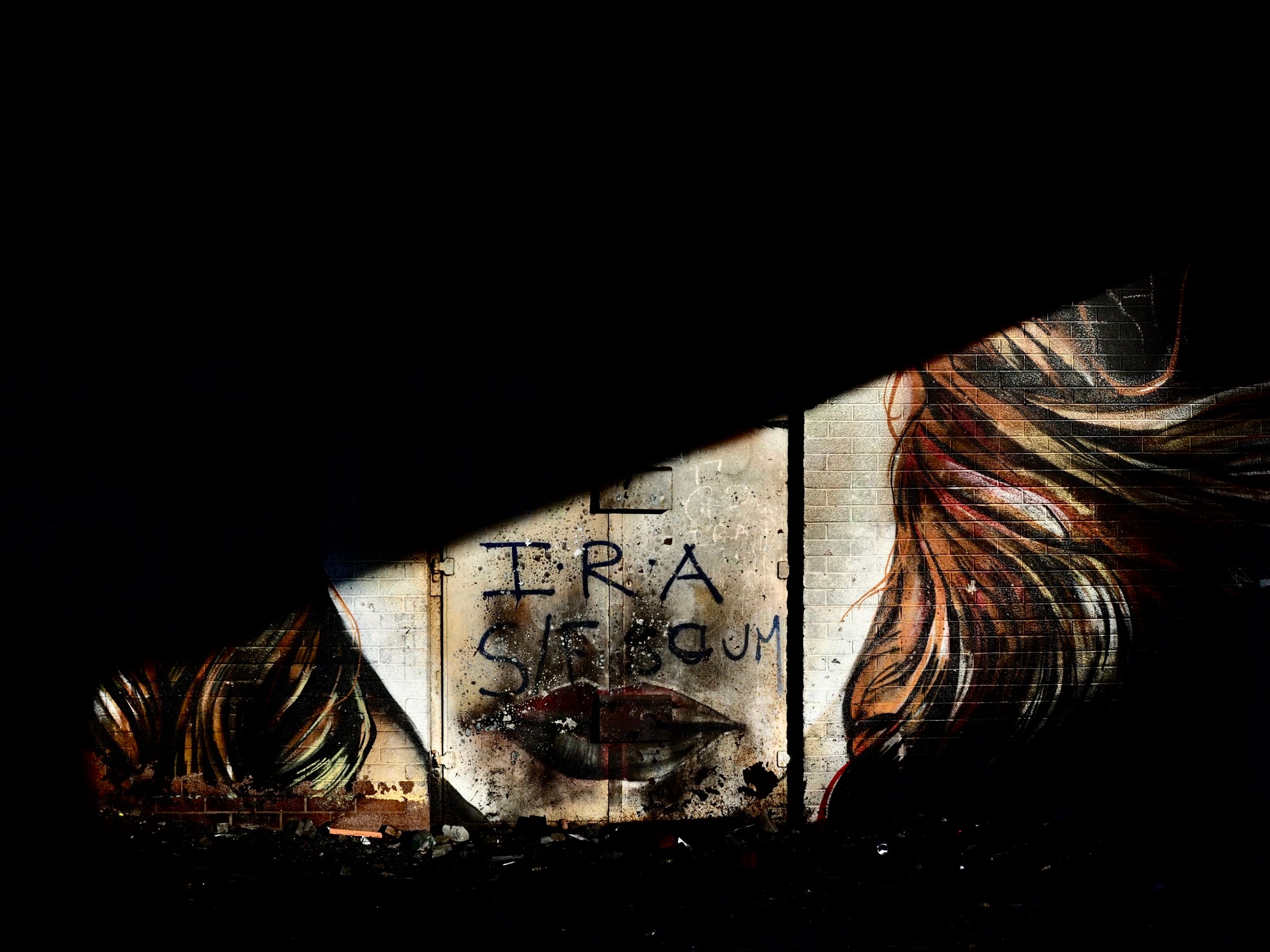 Under a motorway bridge a woman’s face stares, auburn and red-lipped, her skin tattooed with support for the IRA and a message of hostility to advocates of the Social Investment Fund