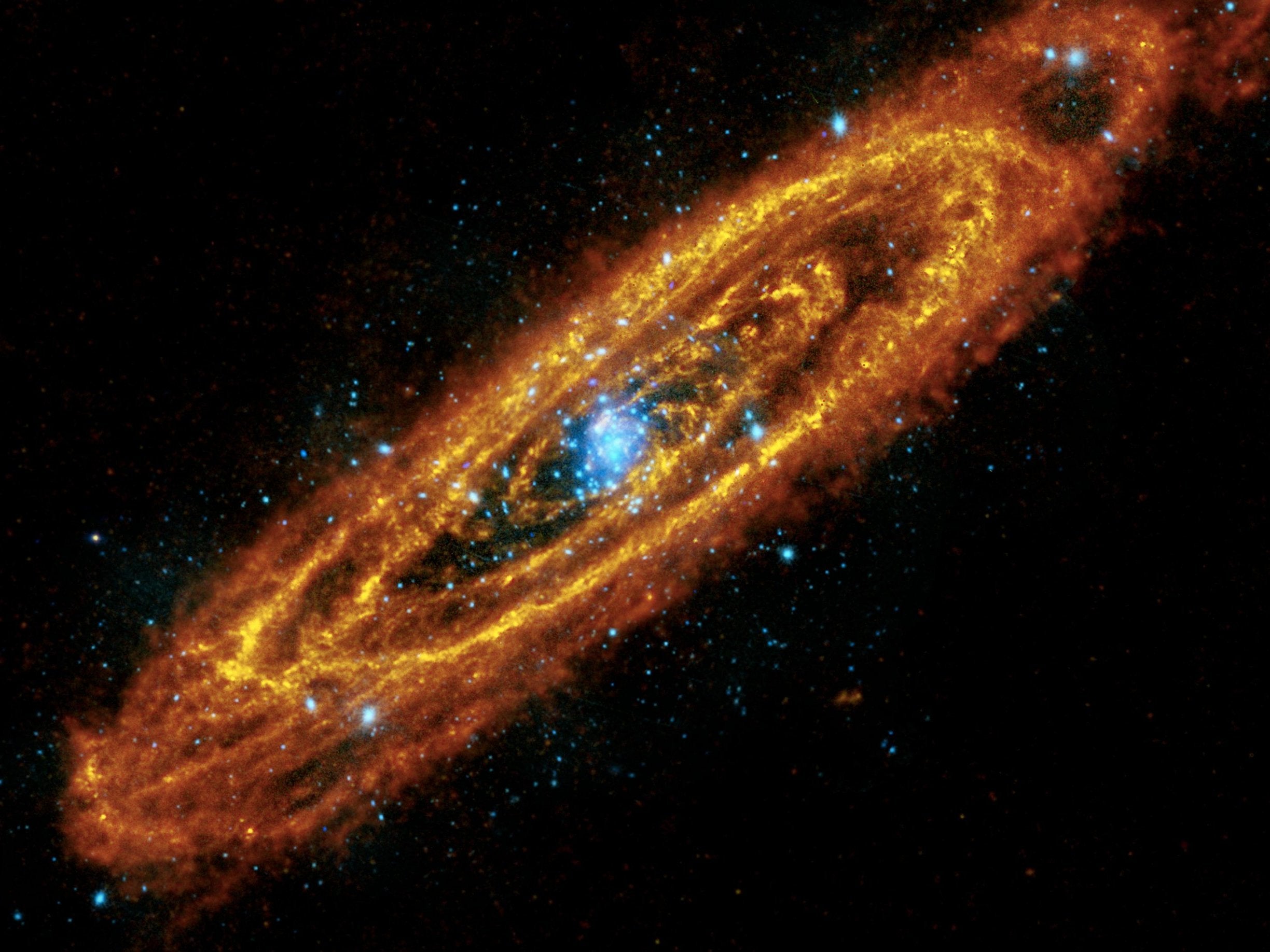 The Andromeda galaxy has explosive stars in its interior and cooler, dusty stars forming in its many rings