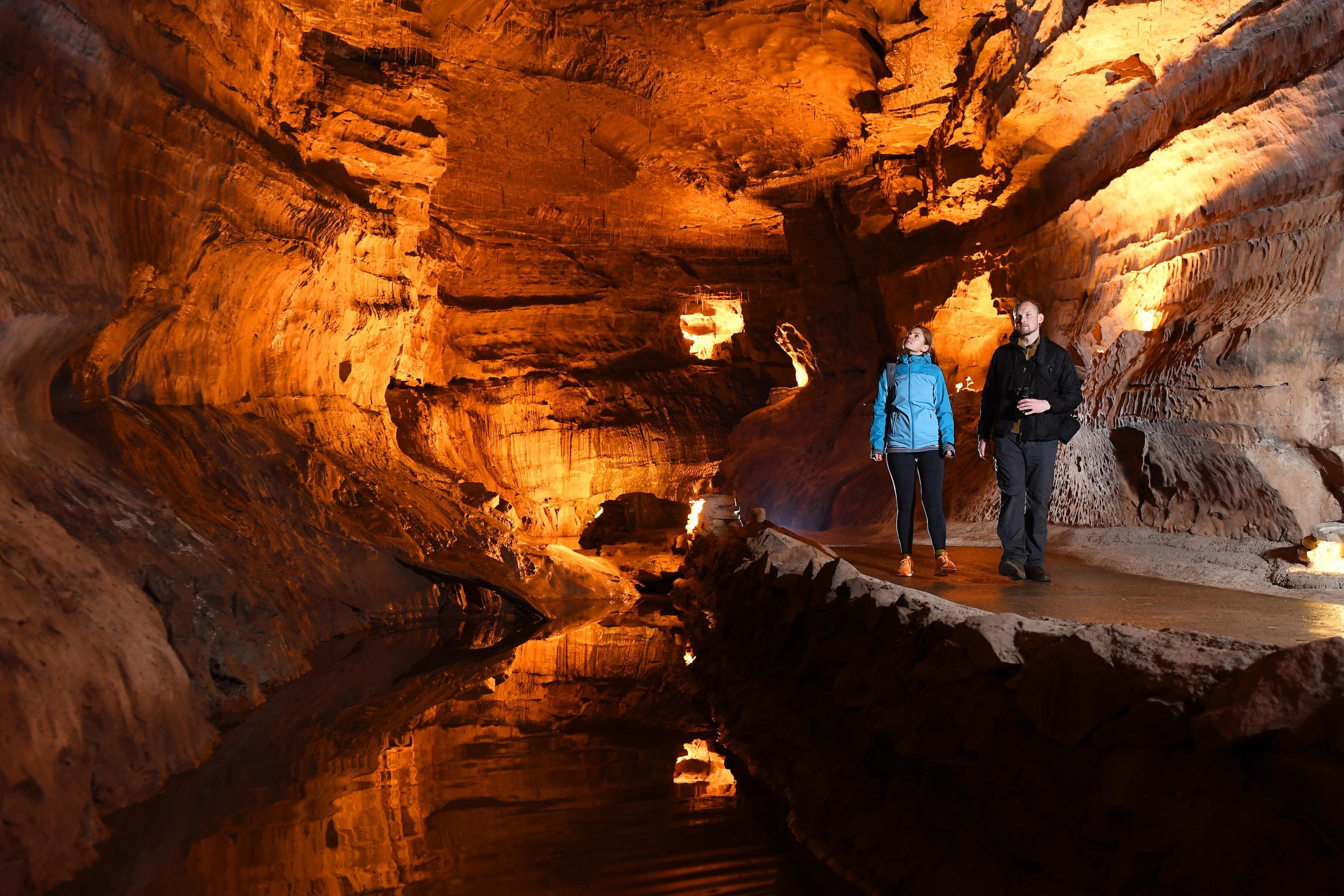 Dan-yr-Ogof cave (© Crown copyright Visit Wales)