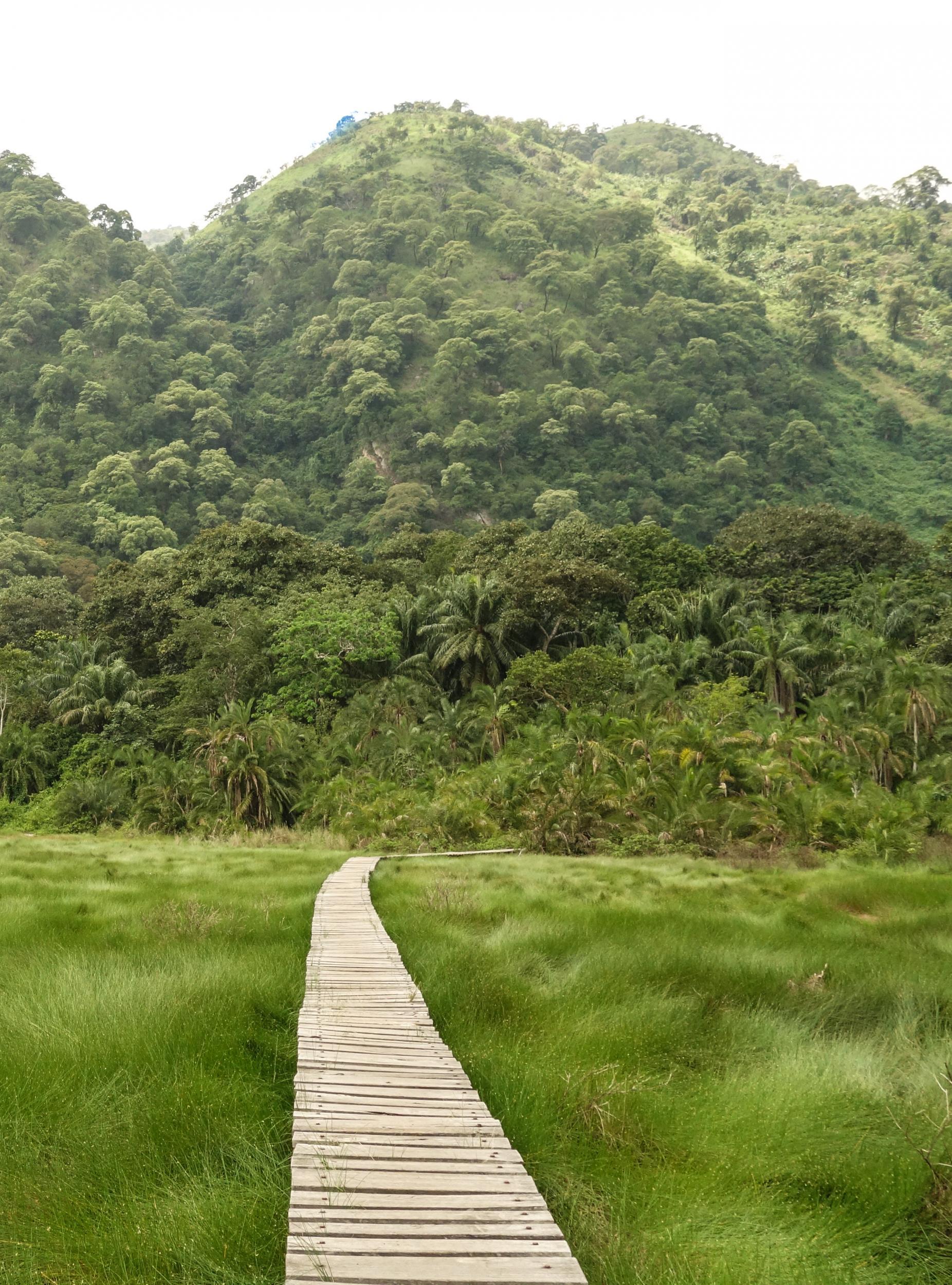 Landscapes such as this example of natural beauty in Uganda are under threat unless action is taken