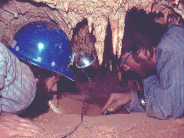 Scientists found some of the fossils while exploring caves on Grand Cayman in the 1990s