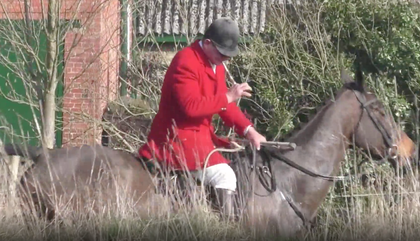 Huntsman blows into his hunting horn as hounds chase fox across fields in Charlton Horethorne, Somerset