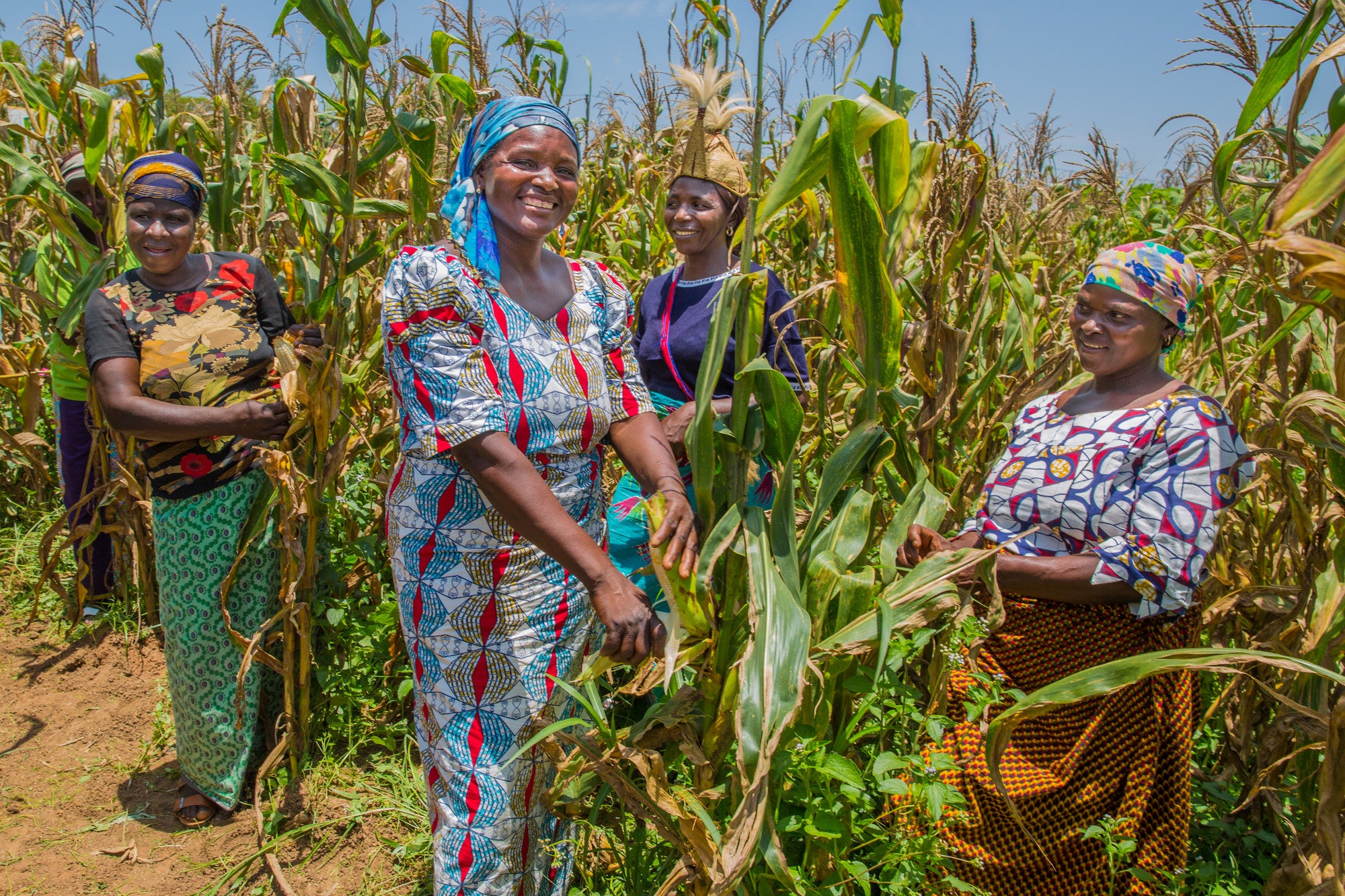 Women for Women International participants at the demonstration farm in Pushit Nigeria