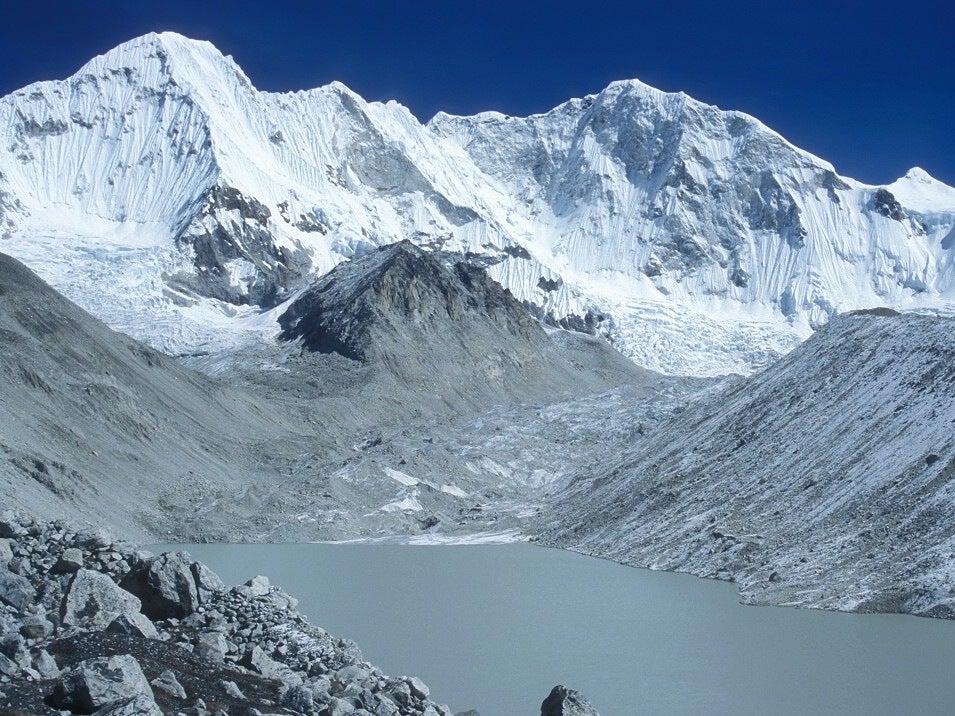 Meera, a cross between a Tibetan mastiff and a Himalayan sheepdog, scaled Baruntse, a 23,389-foot peak in Nepal’s Himalayas, just south of Mount Everest