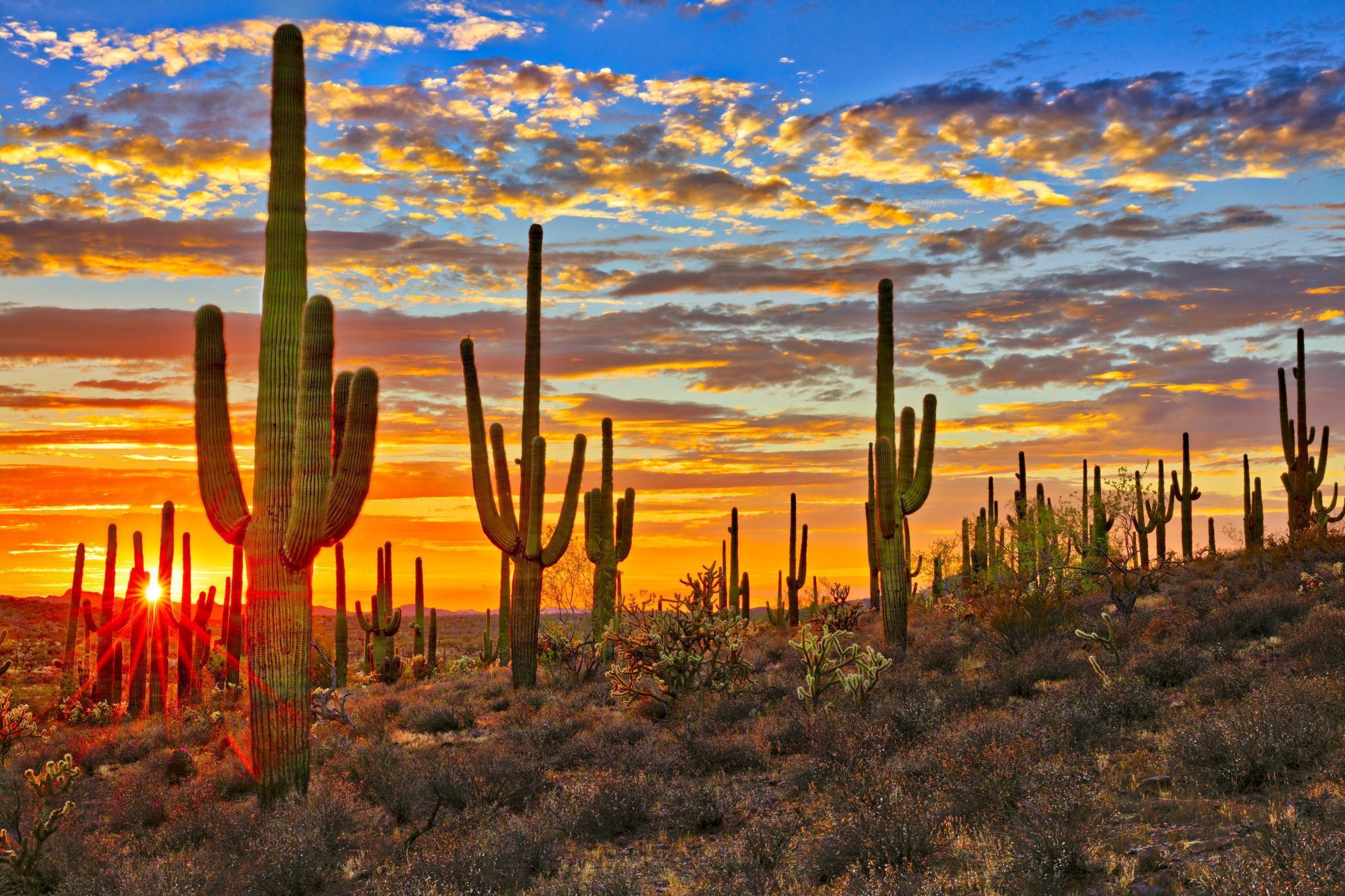 This is why Arizona doesn't follow Daylight Saving Time