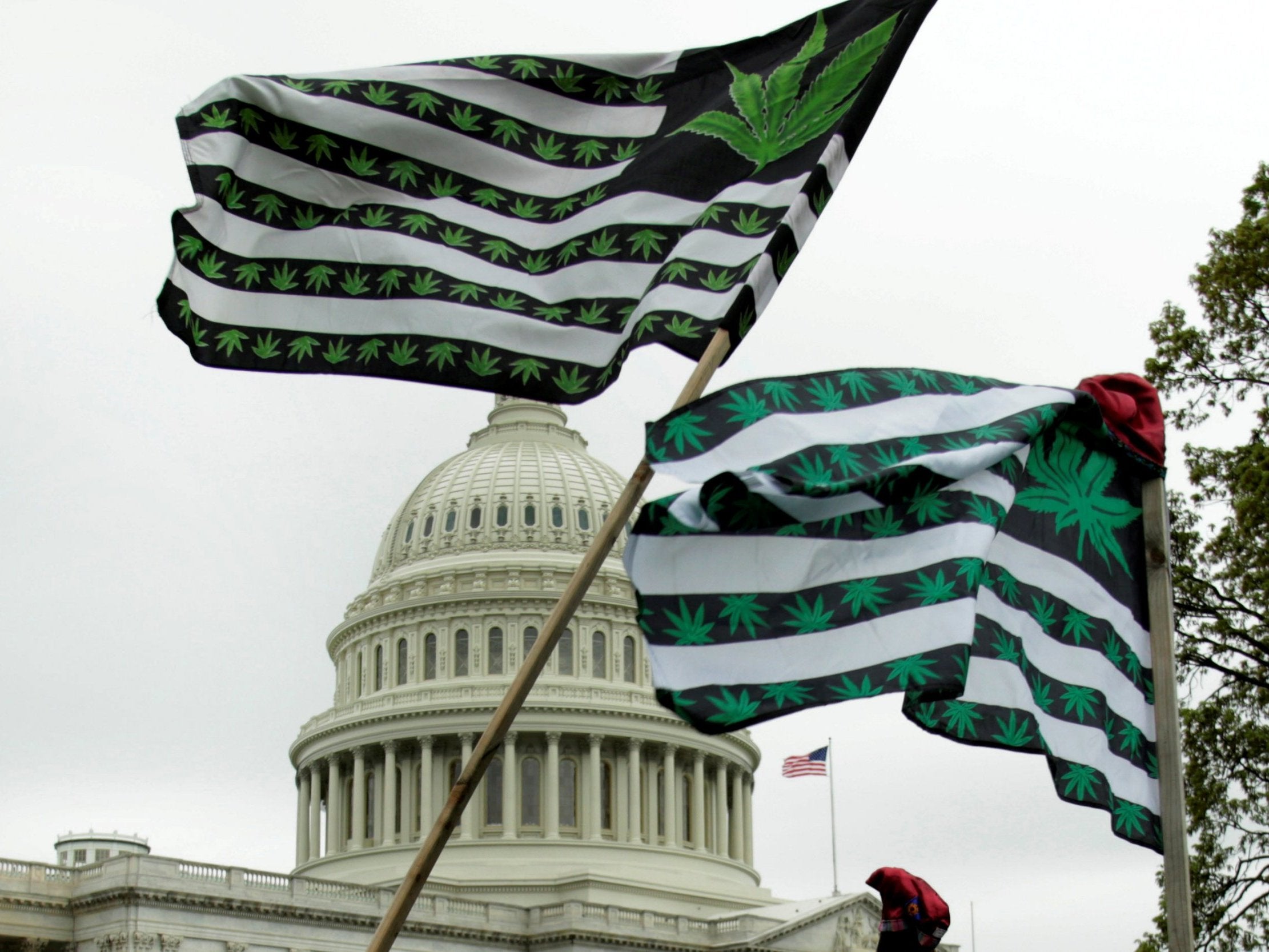 Campaigners gather on the steps of the US Capitol to protest federal marijuana policy in April 2017