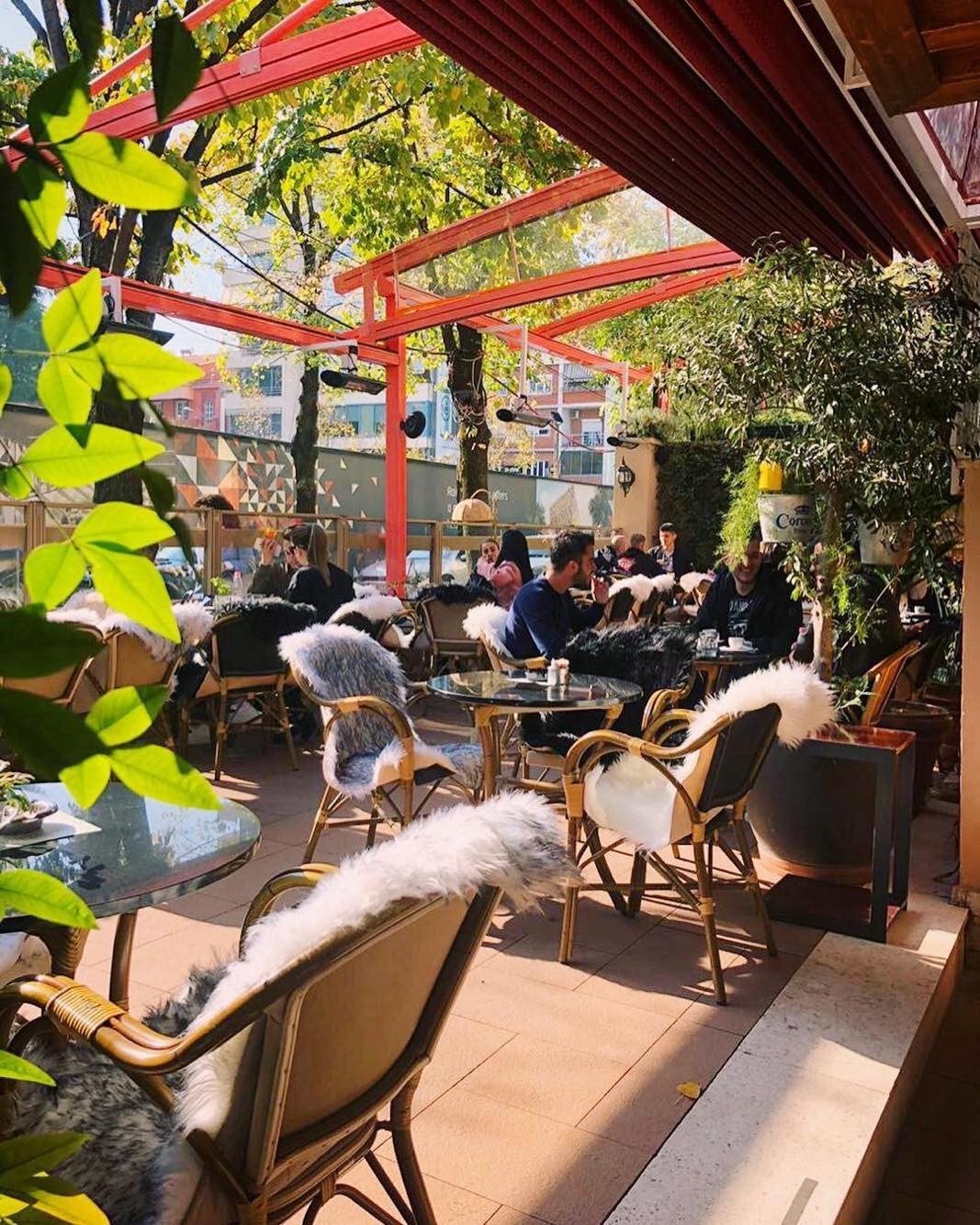 The sunlit terrace of Coko in Blloku