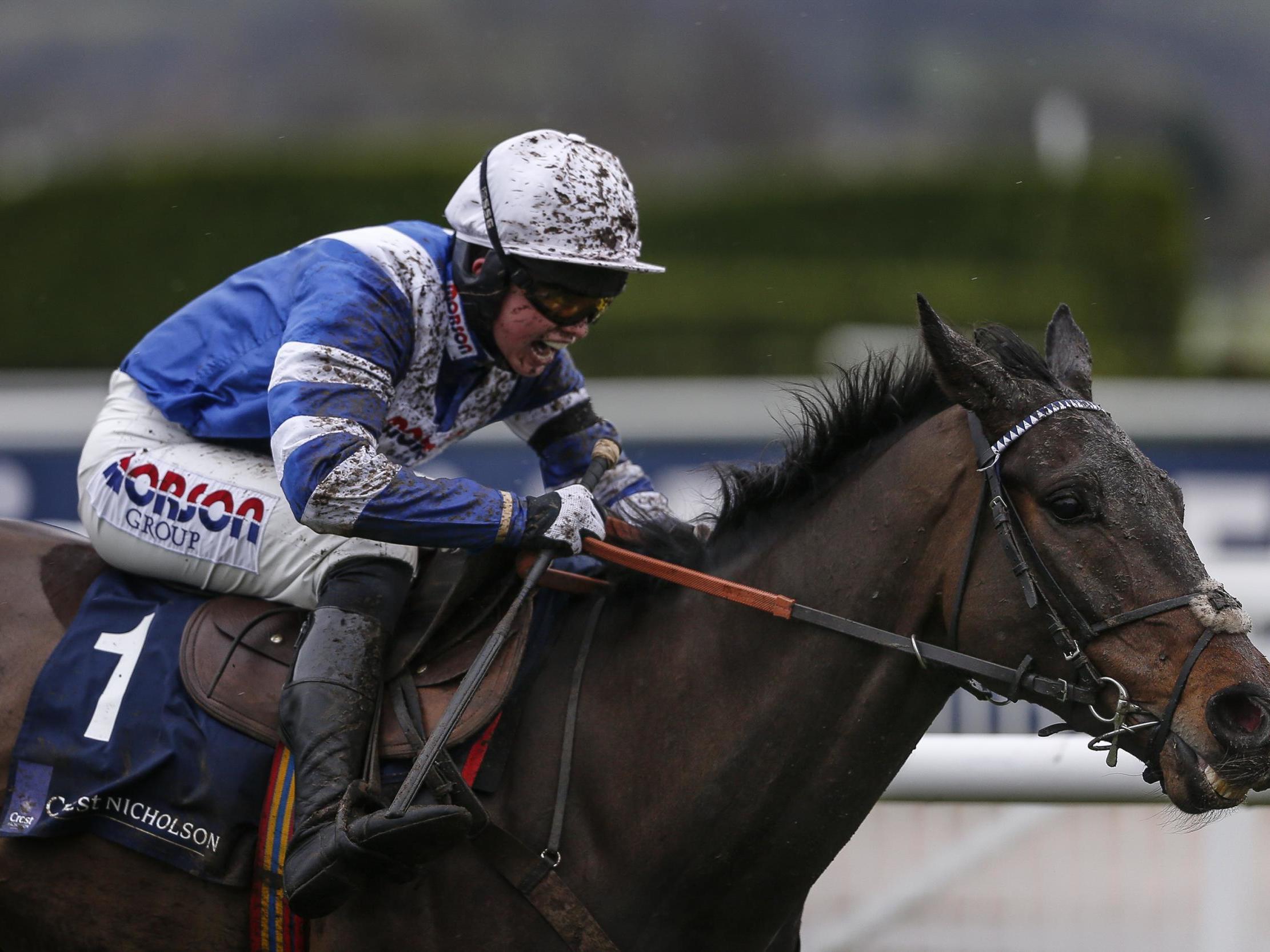 Frodon and Cheltenham is a match made for winning
