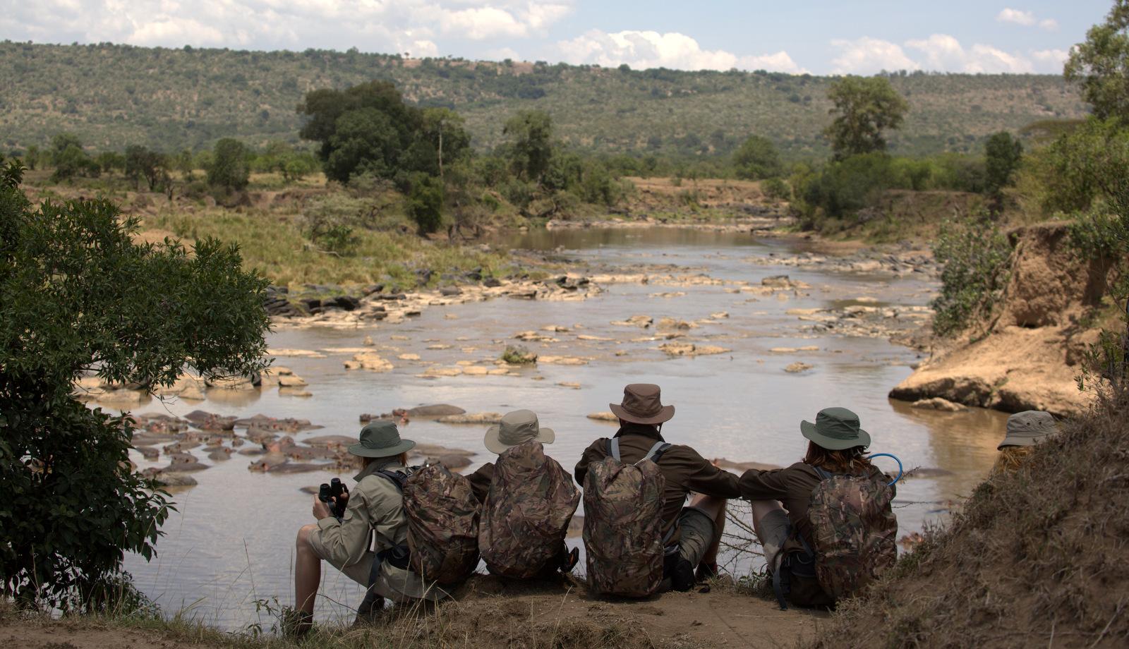 Watching hippos wallow (Asilia)