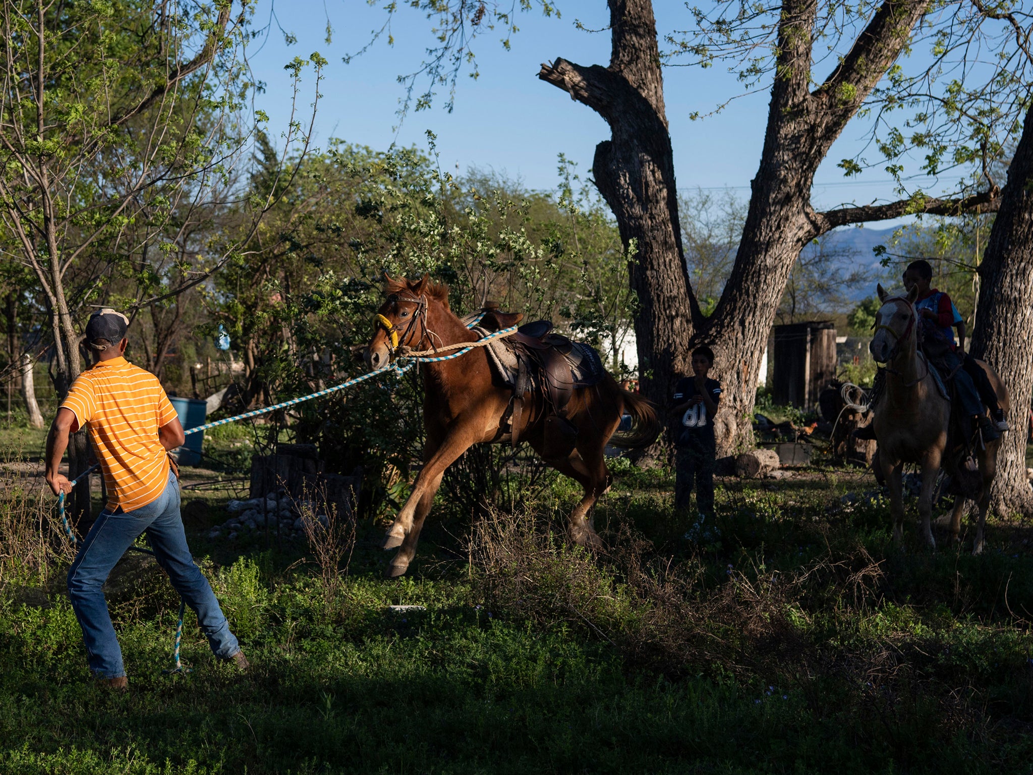 A labourer leads a horse over a ditch in the rural village