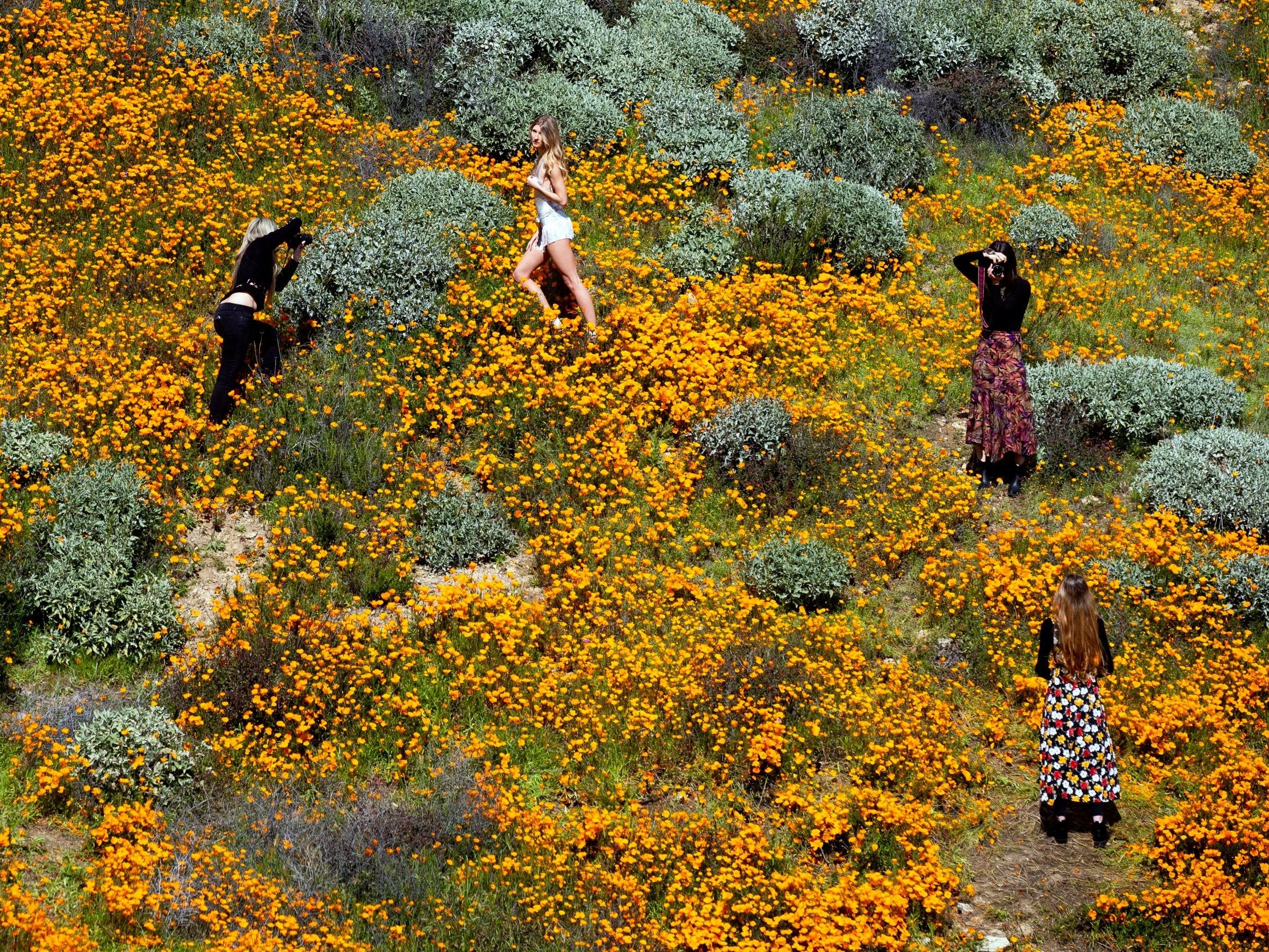 Women take pictures of each other in the fields