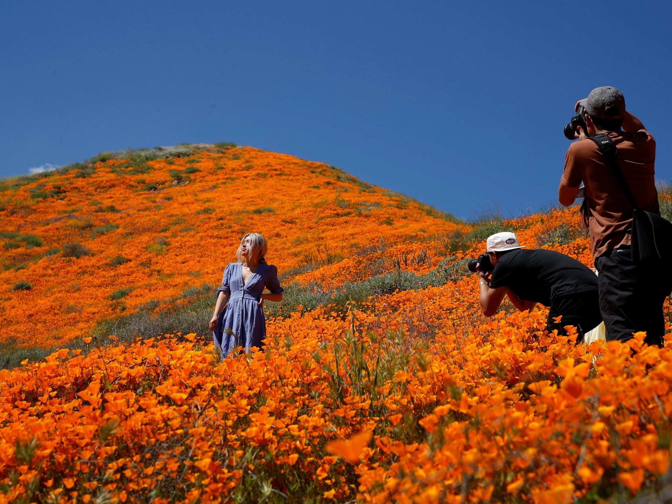 Crowds became so bad that officials closed access to the poppy-blanketed Walker Canyon