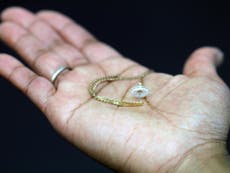 Contraceptive jewellery being tested by scientists