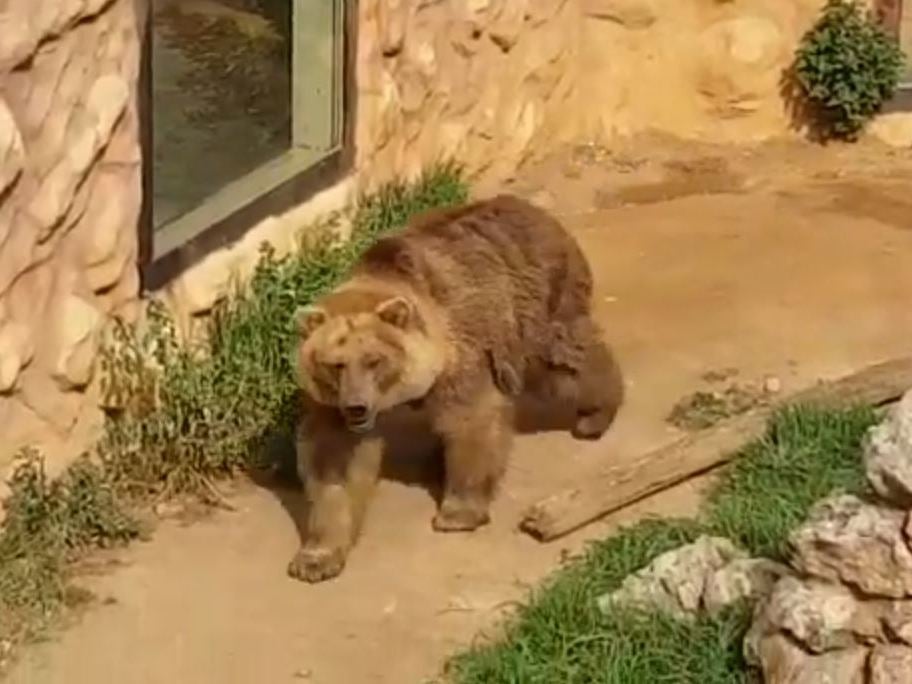 The zoo has been closed to the public for two months.