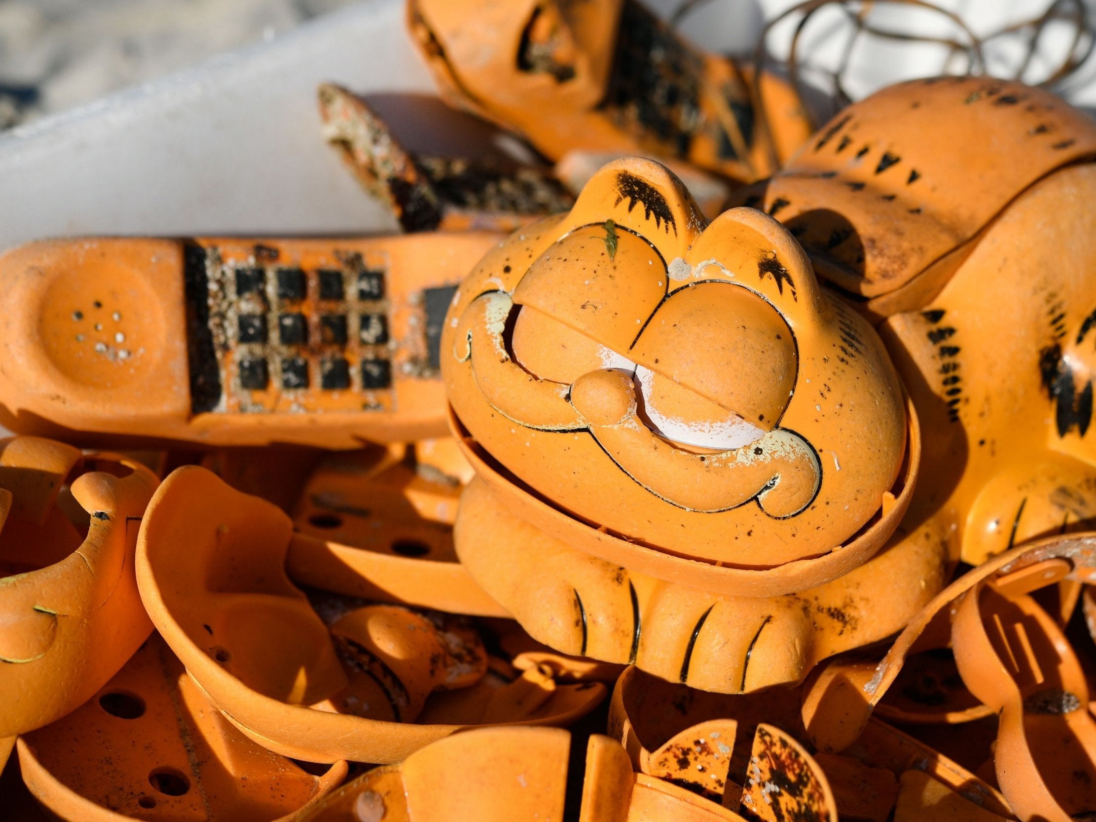 The Garfield phones were once-popular in the early 1980s and started appearing on the beach more than 30 years ago