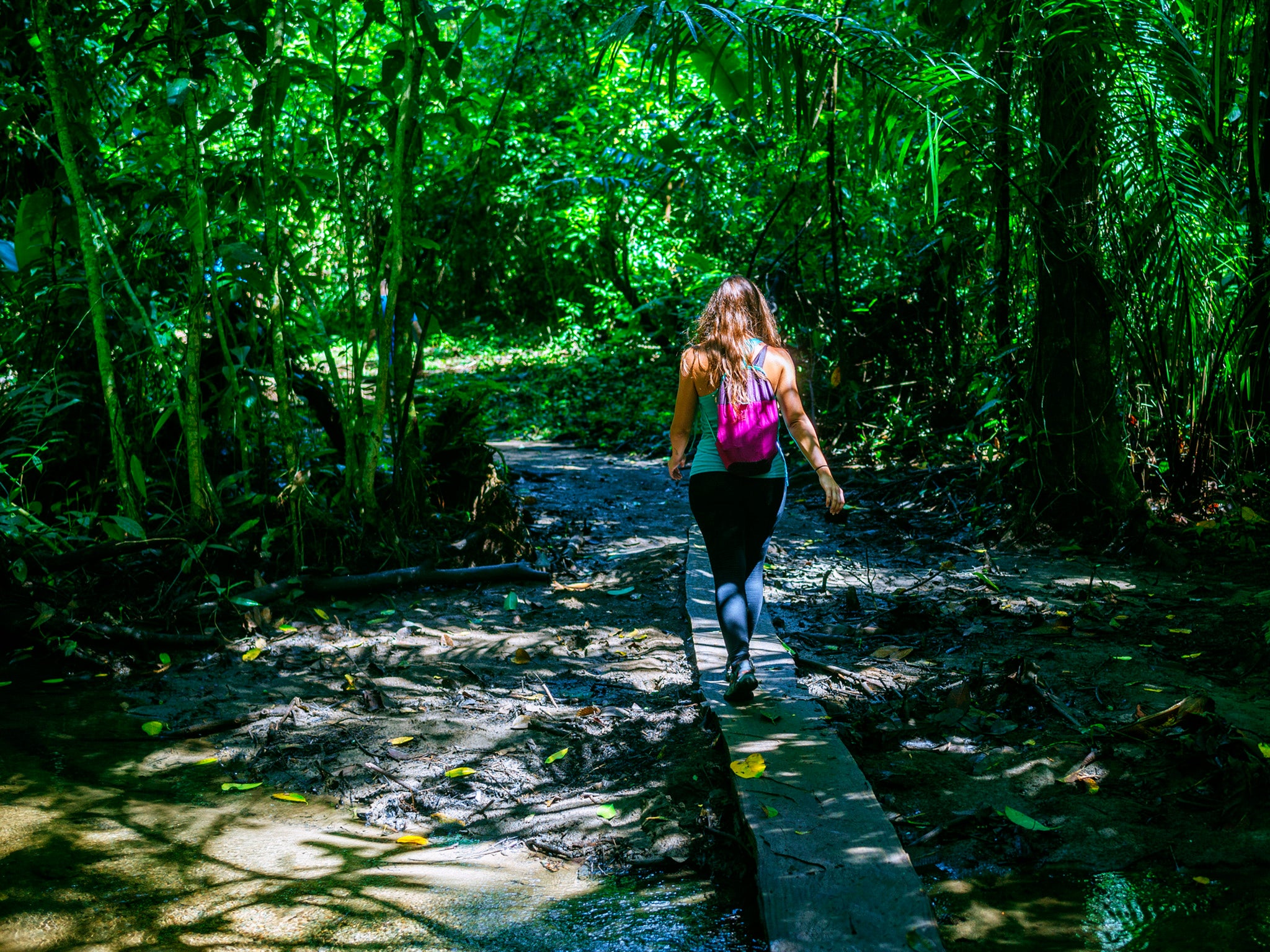 A woman hikes in Corcovado National Park, Costa Rica. Stefaniak was killed in Costa Rica while travelling alone (Getty/iStock)