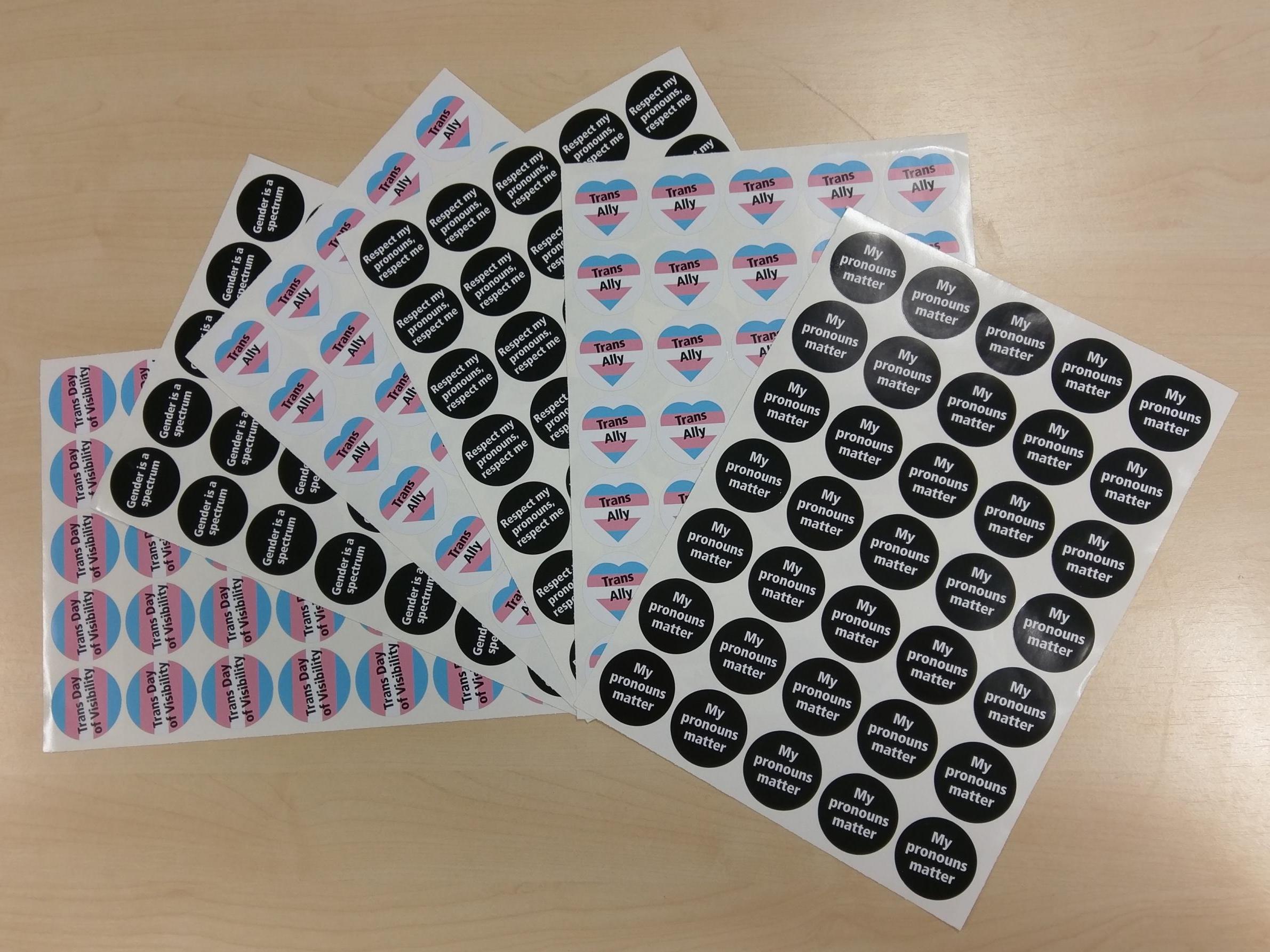 Pronoun stickers are being giving out in secondary schools in Brighton to raise awareness