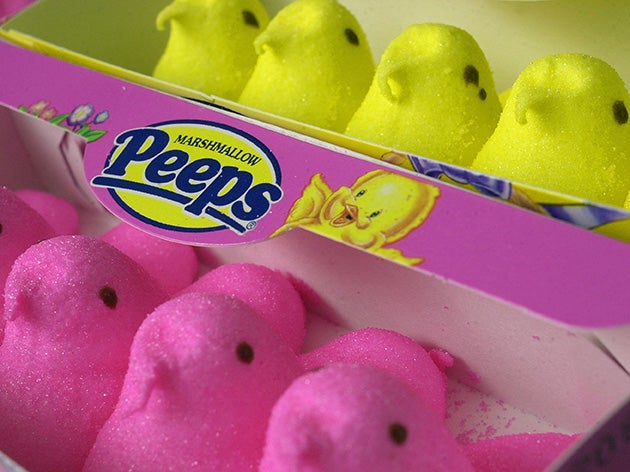 A scientist used sugary Peeps to study whether fungi can survive extreme conditions