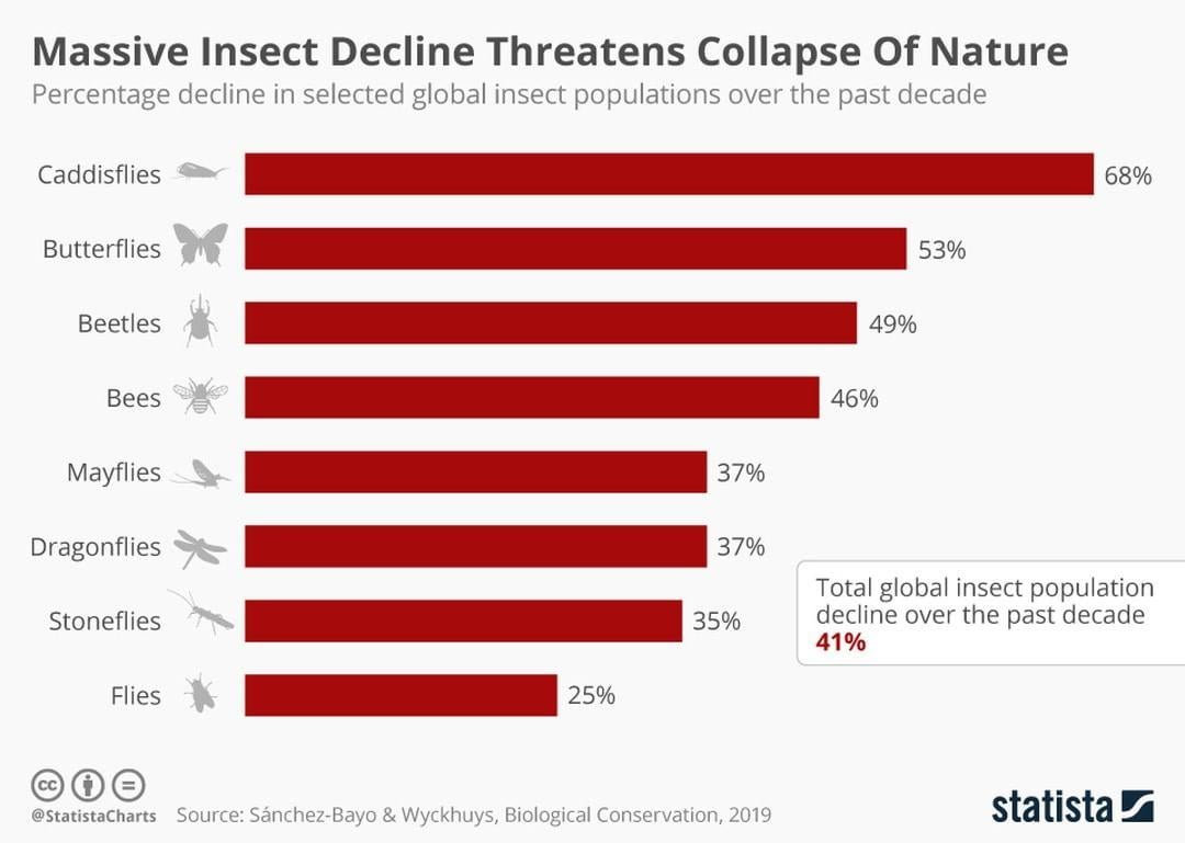 Declines in so many different pollinator species foreshadow a bleak future (Statista)