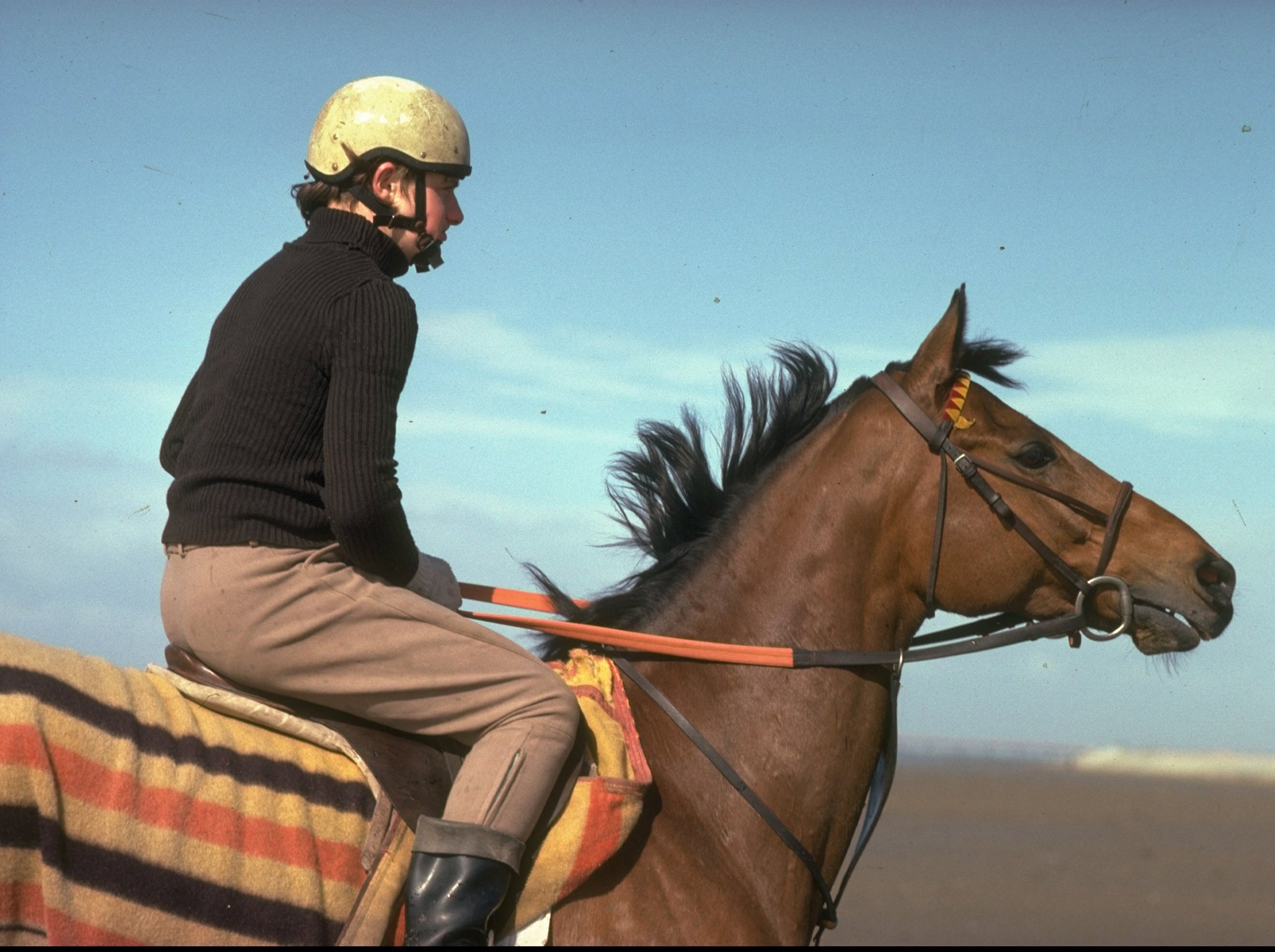 Red Rum won three Grand Nationals, in 1973, 1974 and 1977