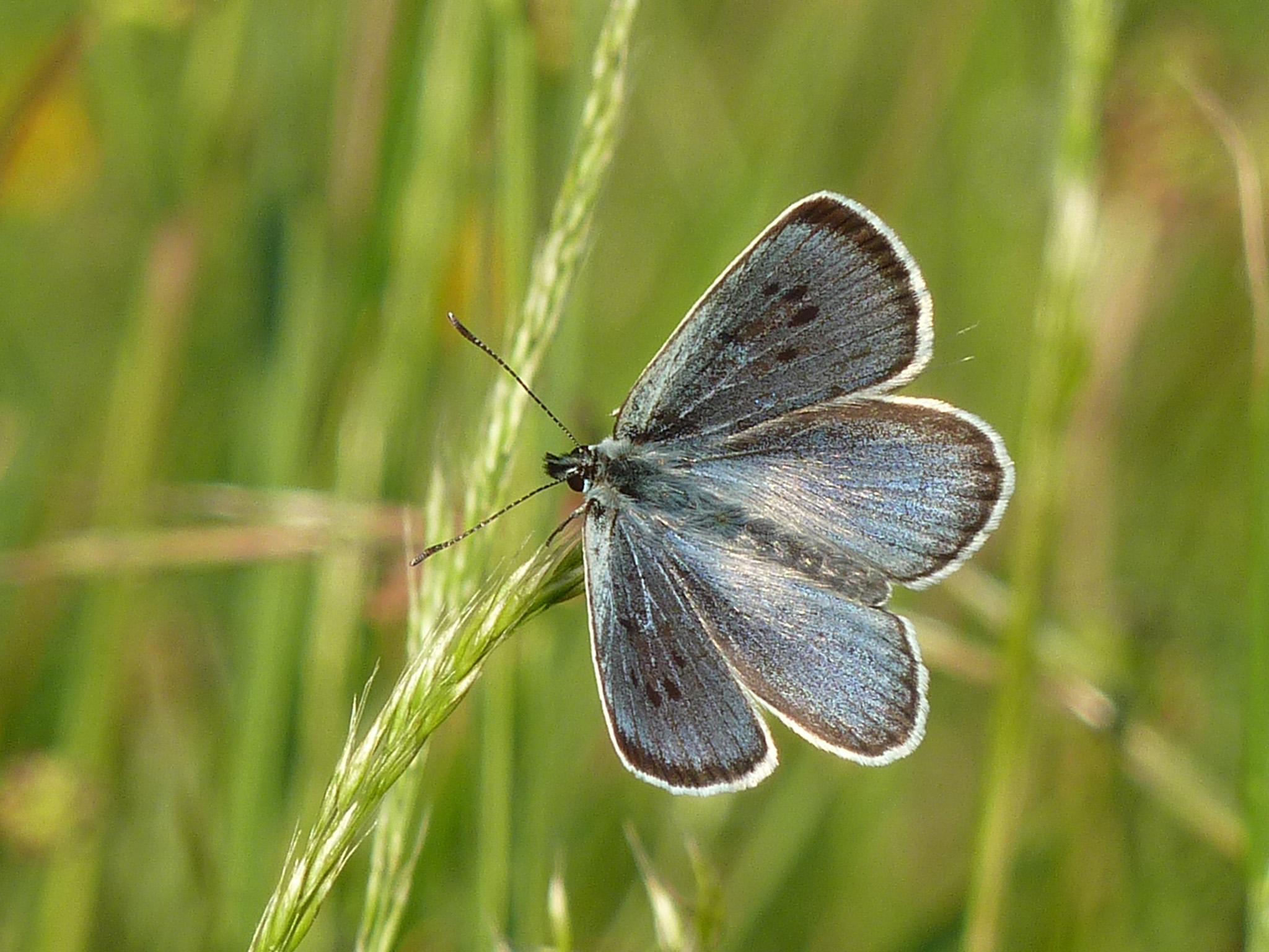 Population rose 58% in 2018