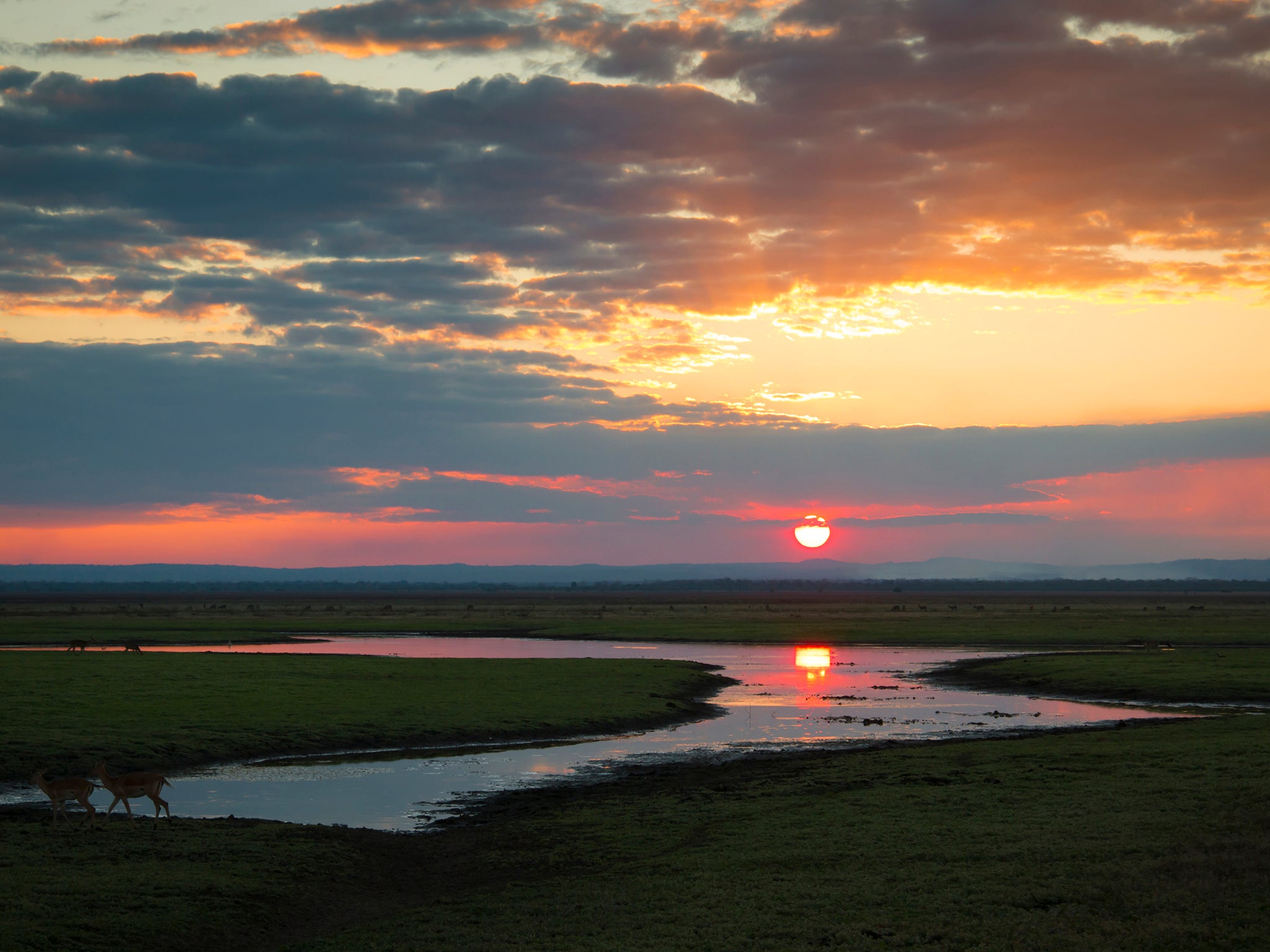 Sunset over Gorongosa National Park in the centre of Mozambique (Getty/iStock)