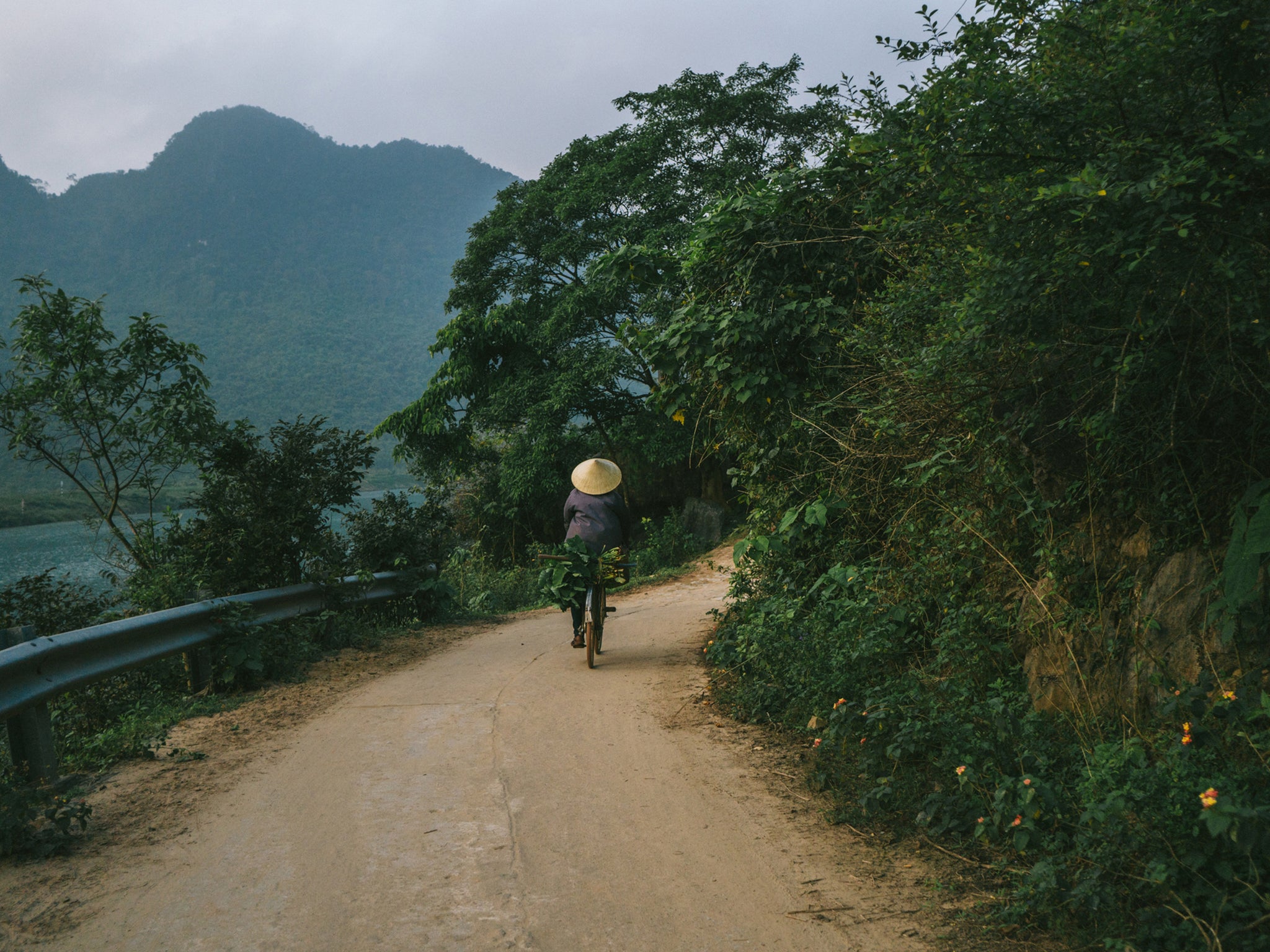 Local conservation groups are trying to stop animal genocide within the Vietnam forest