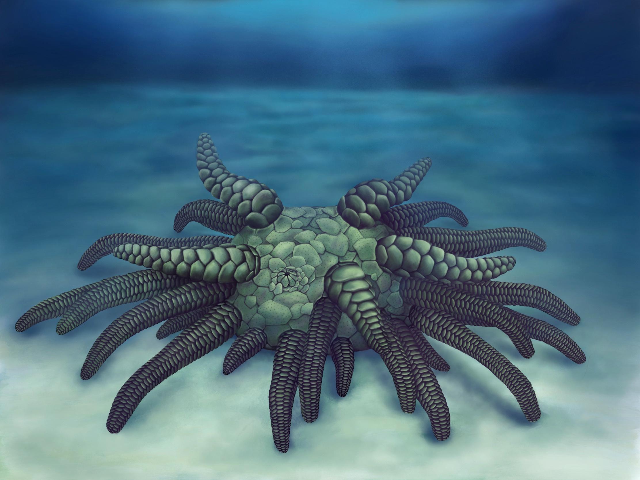 Artist's reconstruction of Sollasina cthulhu