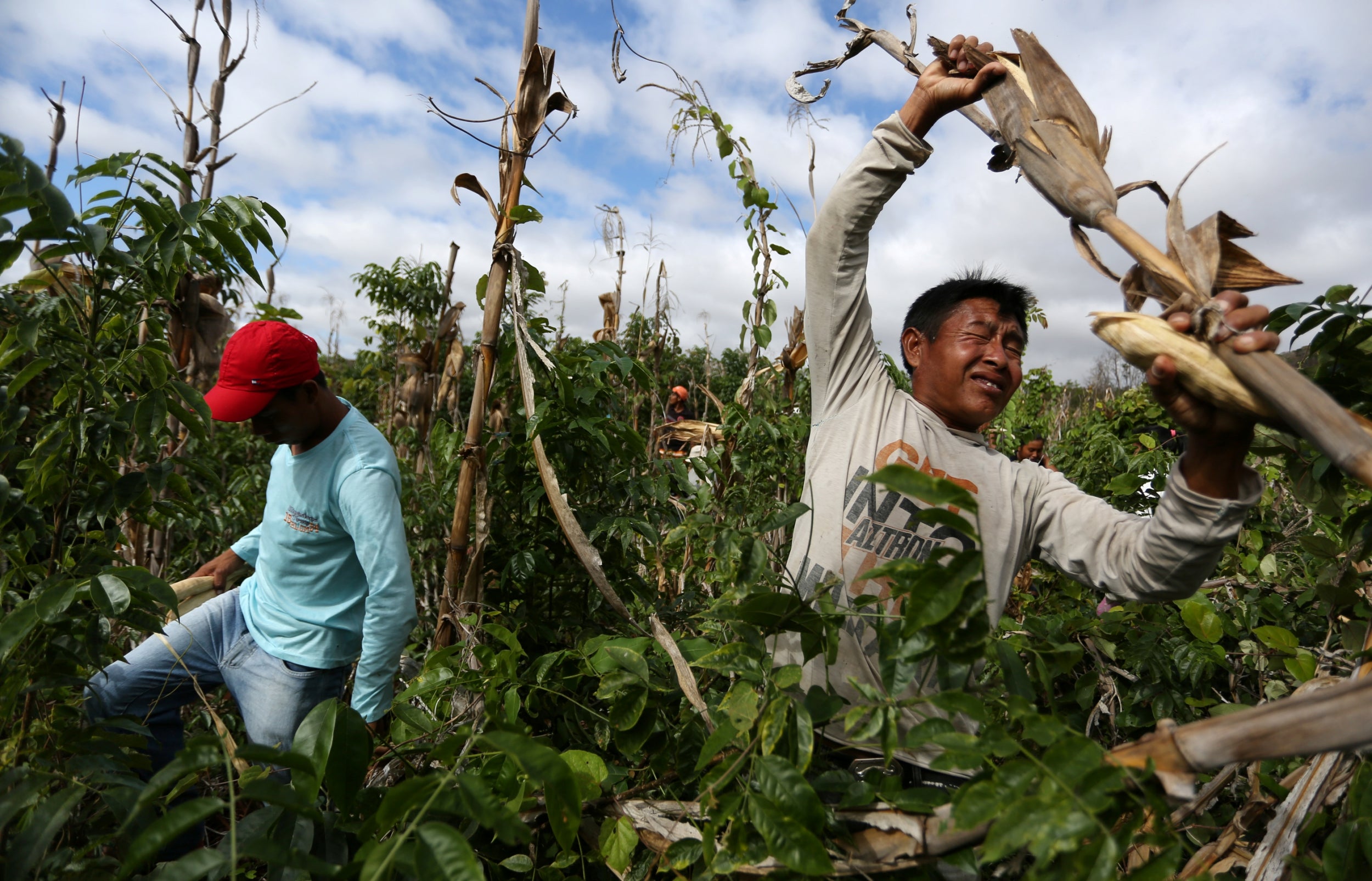 The Macuxi fear the return of farmers, illegal gold miners and poachers, all of whom are emboldened by President Jair Bolsonaro’s rhetoric and his moves to weaken their rights