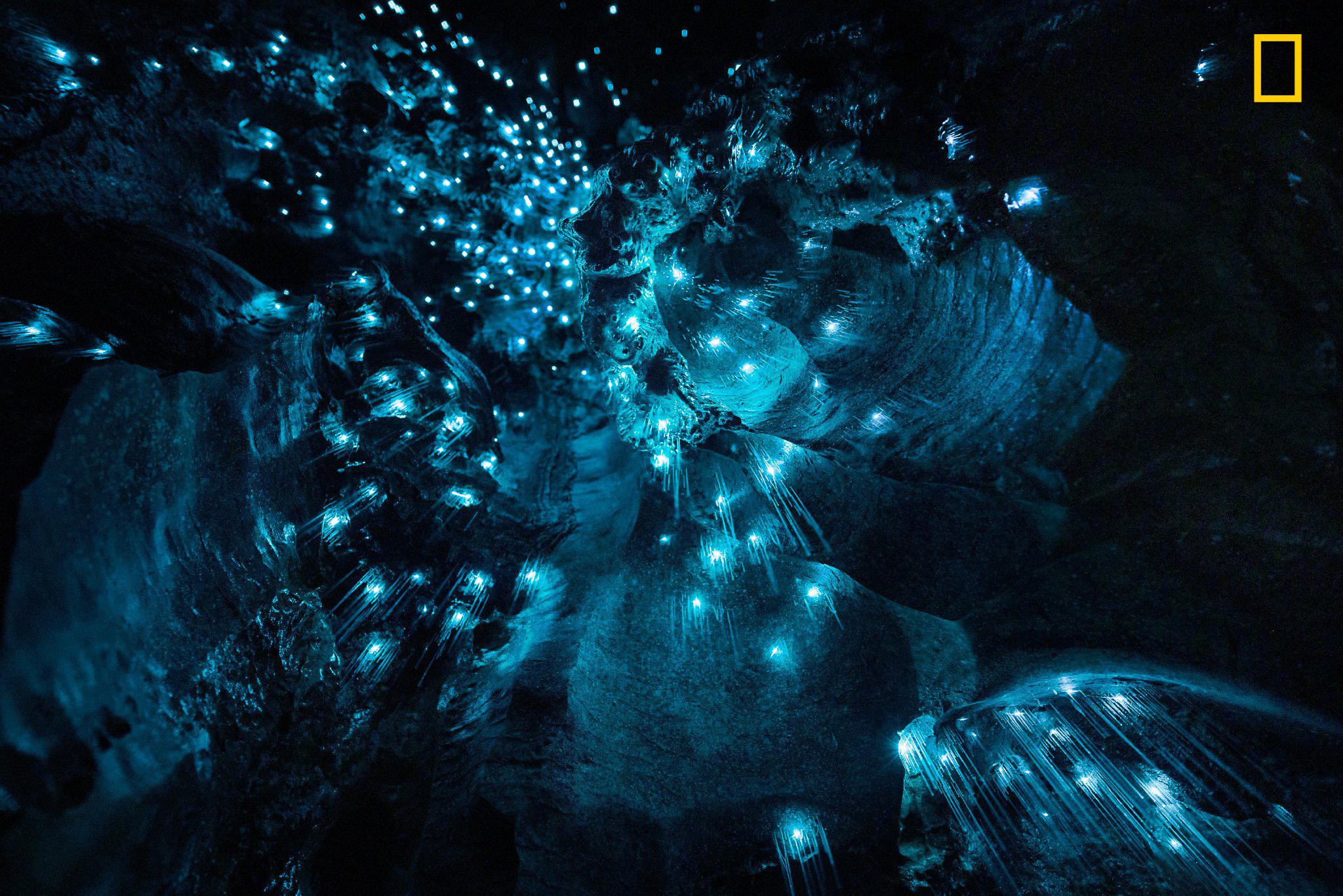 "Nature is amazing. Deep within the Waipu cave system live the arachnocampa luminosa—a glow worm species found exclusively in New Zealand. During the first year before they become actual flies, these glow worms use a special trick to find food: they produce saliva threads hanging into the cave and attract their prey by creating this beautiful glow. It sounds disgusting, but looks so beautiful—from far and close. Only nature can produce such stunning contradictions, captured in this long exposure." - Marcel Strelow