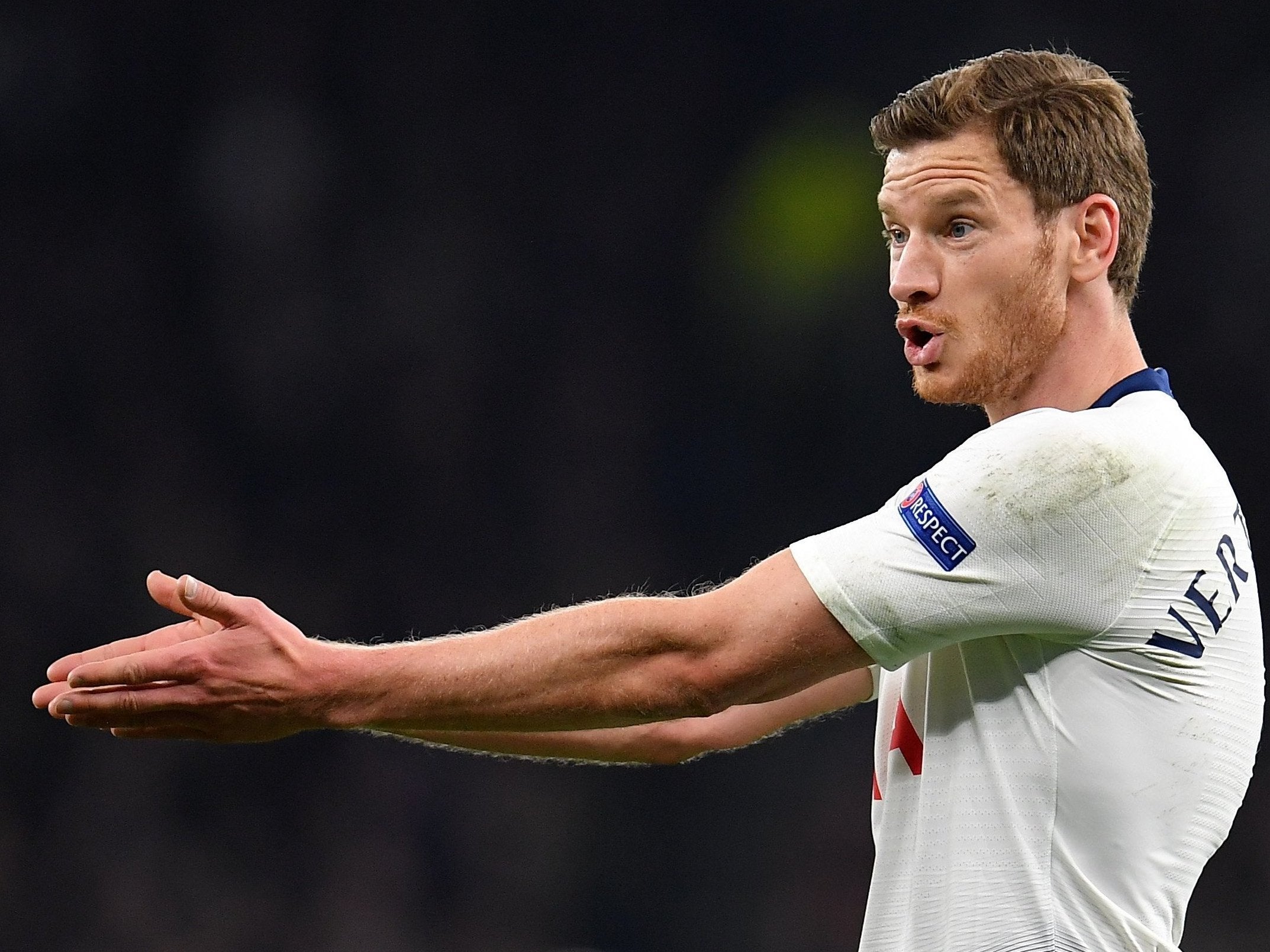 Jan Vertonghen insists the art of defending will change due to VAR