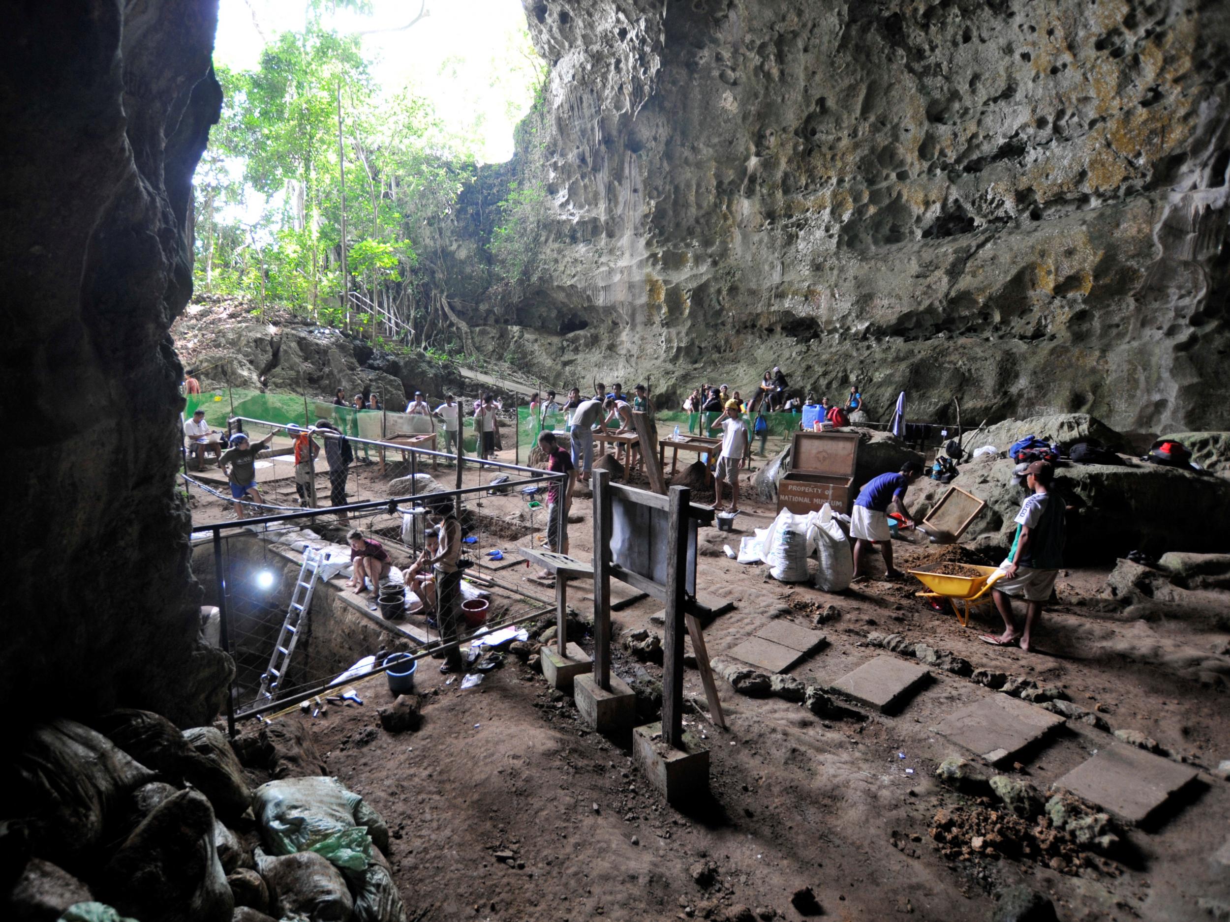 The cache of bones and teeth were discovered in Callao Cave on Luzon, The Philippines