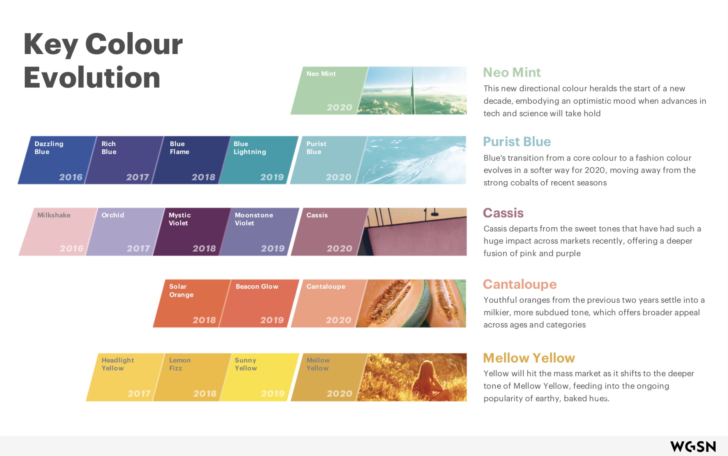 Colour charts like this will help you choose your shades (WGSN)