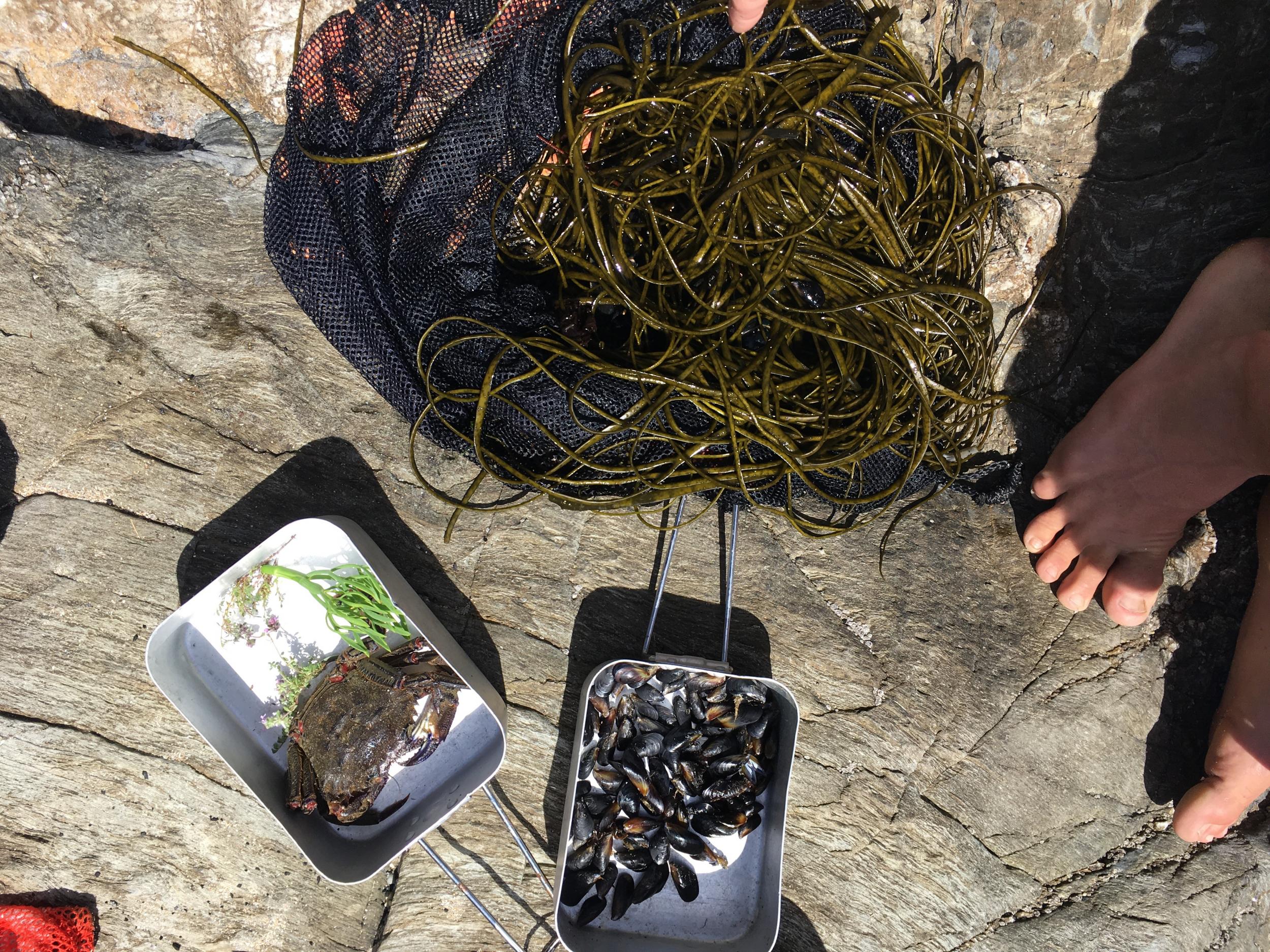 Collecting ingredients for a Cornish barbecue