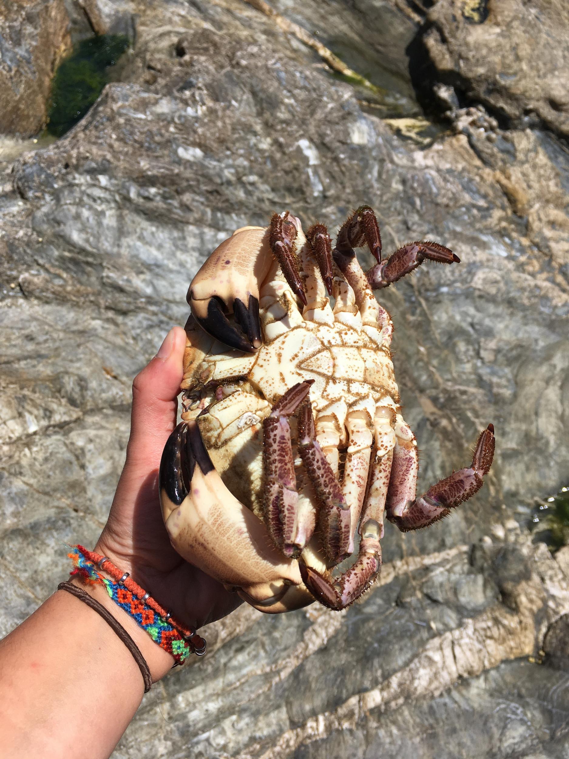 Sian managed to catch a crab underwater