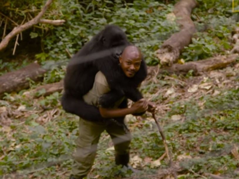 Some of the rangers share a close bond with the rangers