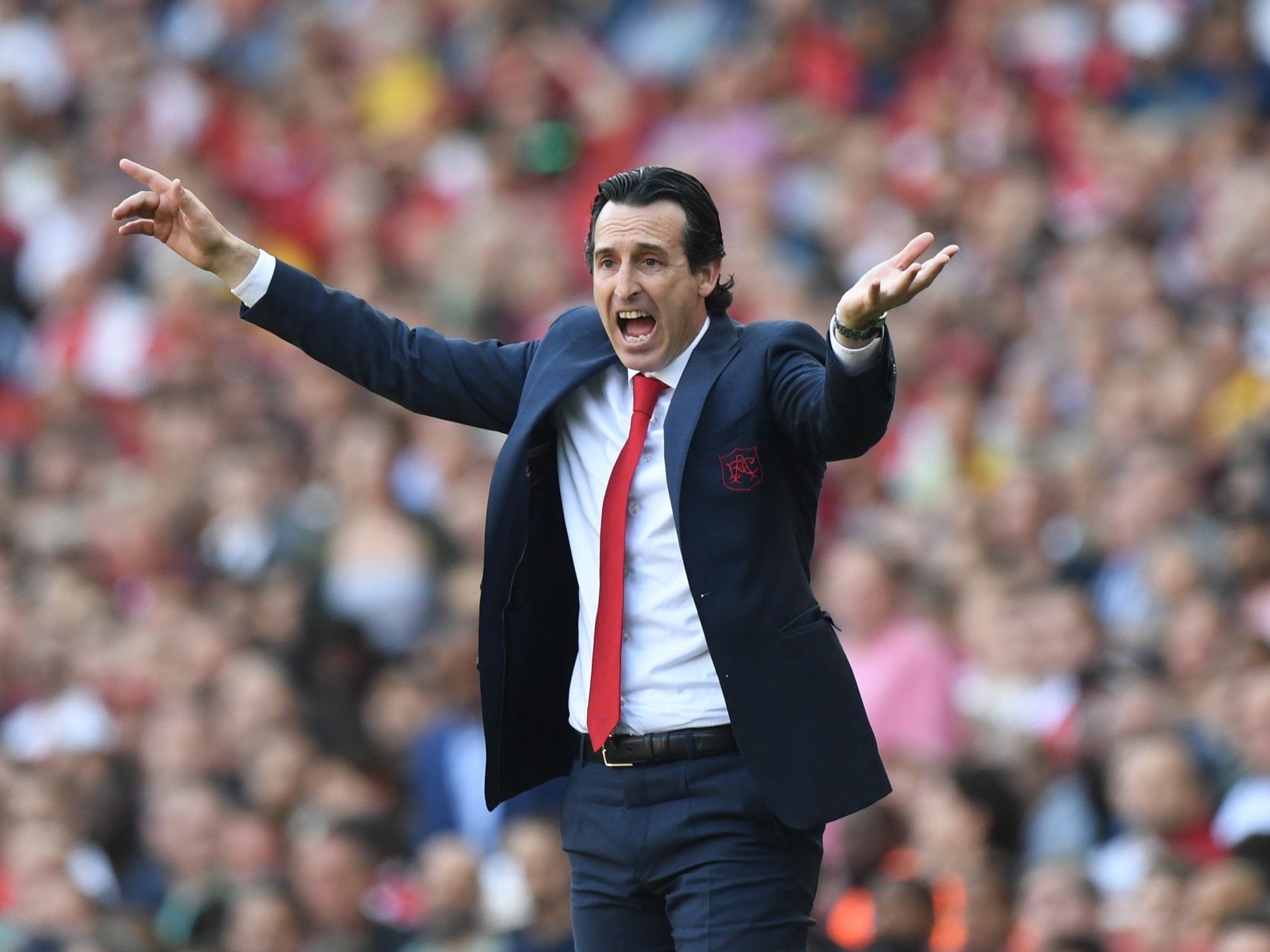 Unai Emery was frustrated with Arsenal's defeat against Crystal Palace