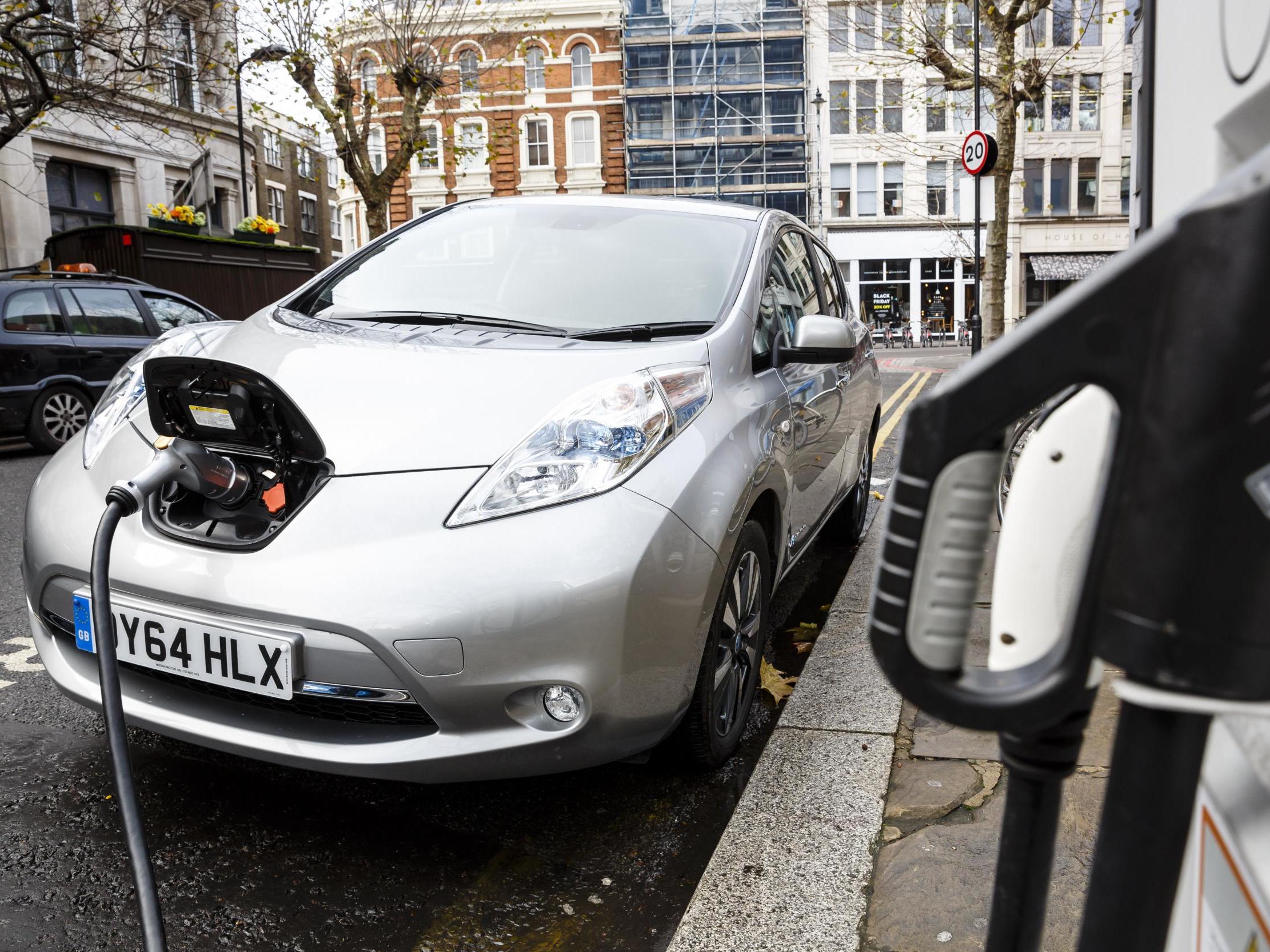 Investment in electric car production is a successful example public-private partnerships