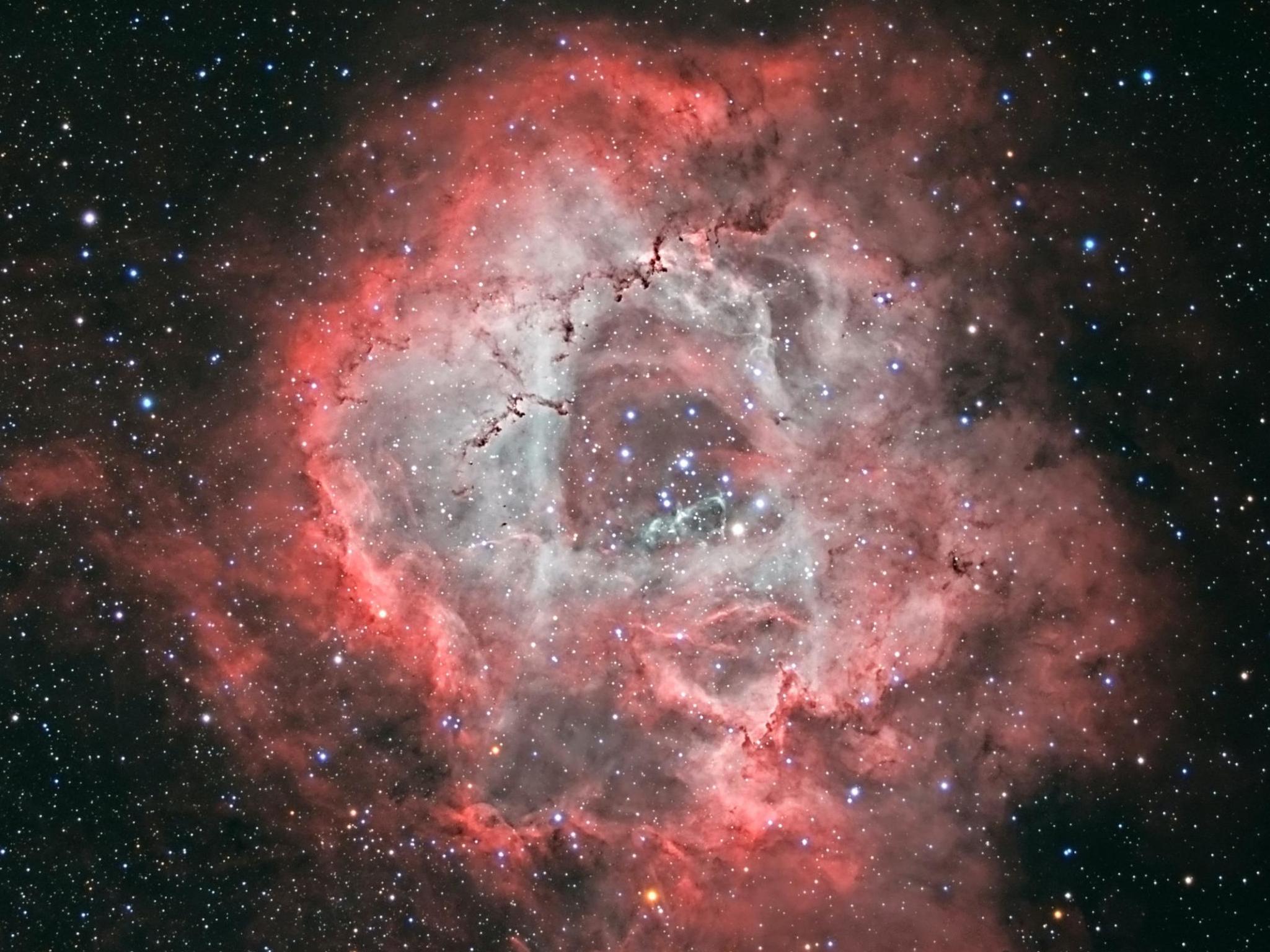 The winning photo of the Rosette Nebula, captured by Guernsey-based Jean Dean