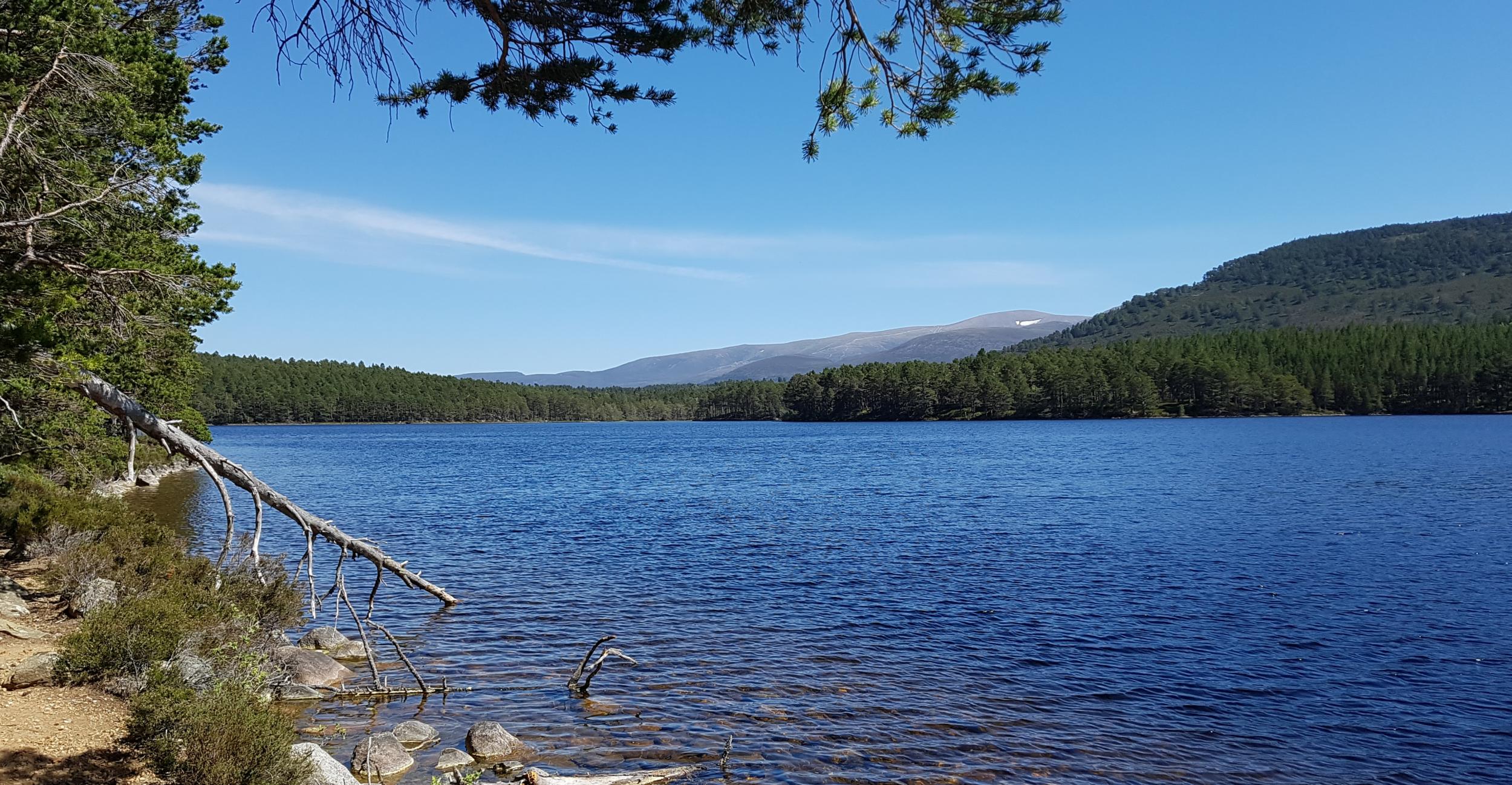 There are plenty of beautiful routes around Loch an Eilein